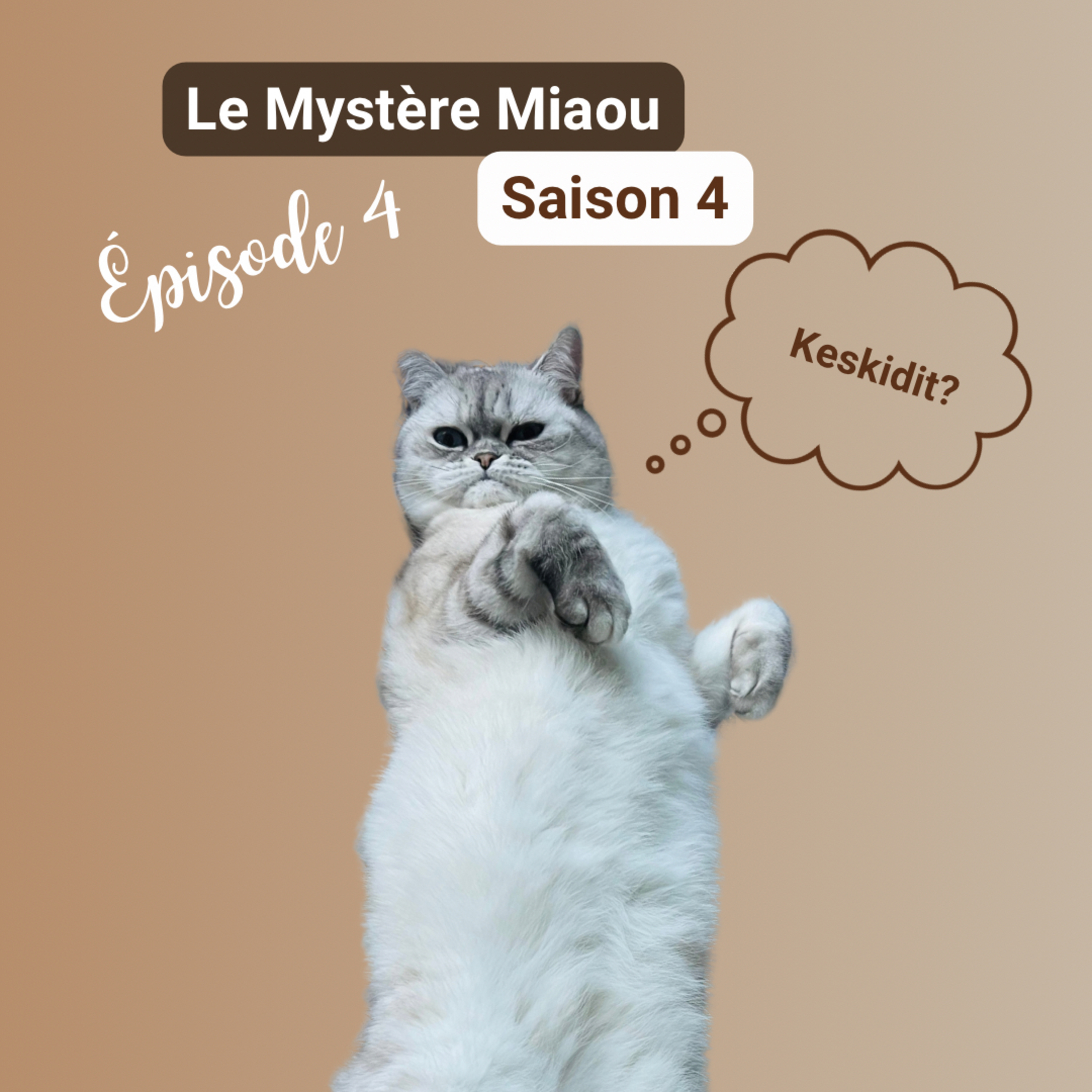 Le Mystère Miaou, un podcast de chats.
