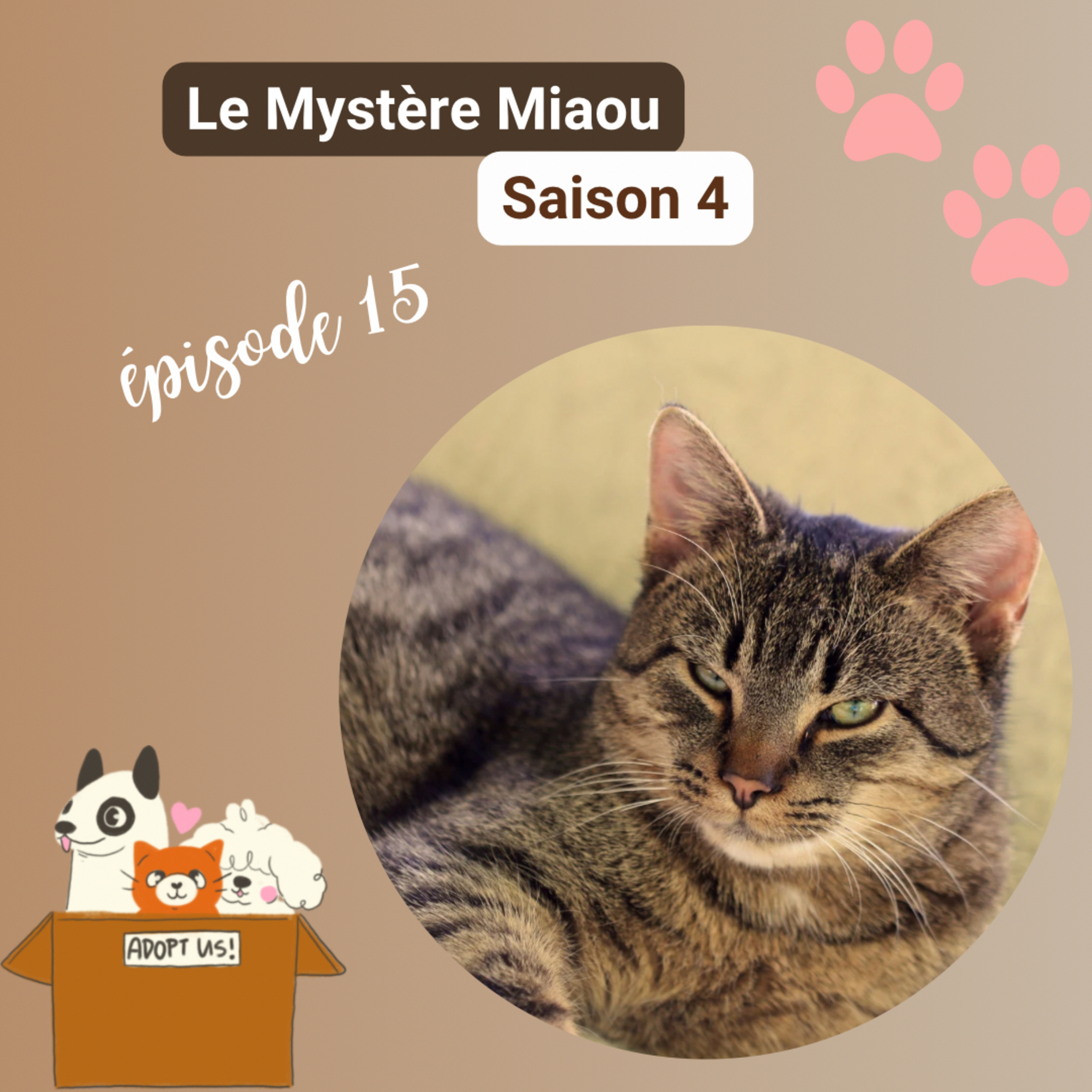 Le Mystère Miaou, un podcast de chats.