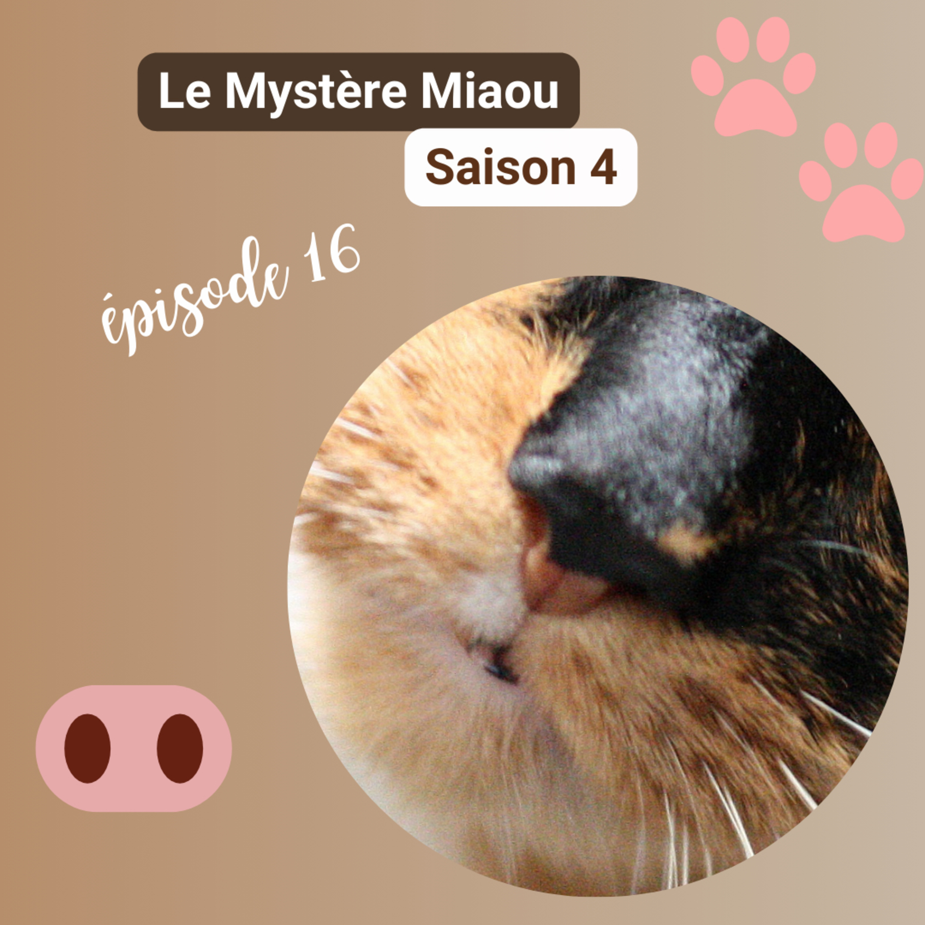 S4-16 : Enrichissement olfactif : pourquoi stimuler l’odorat de votre chat ?