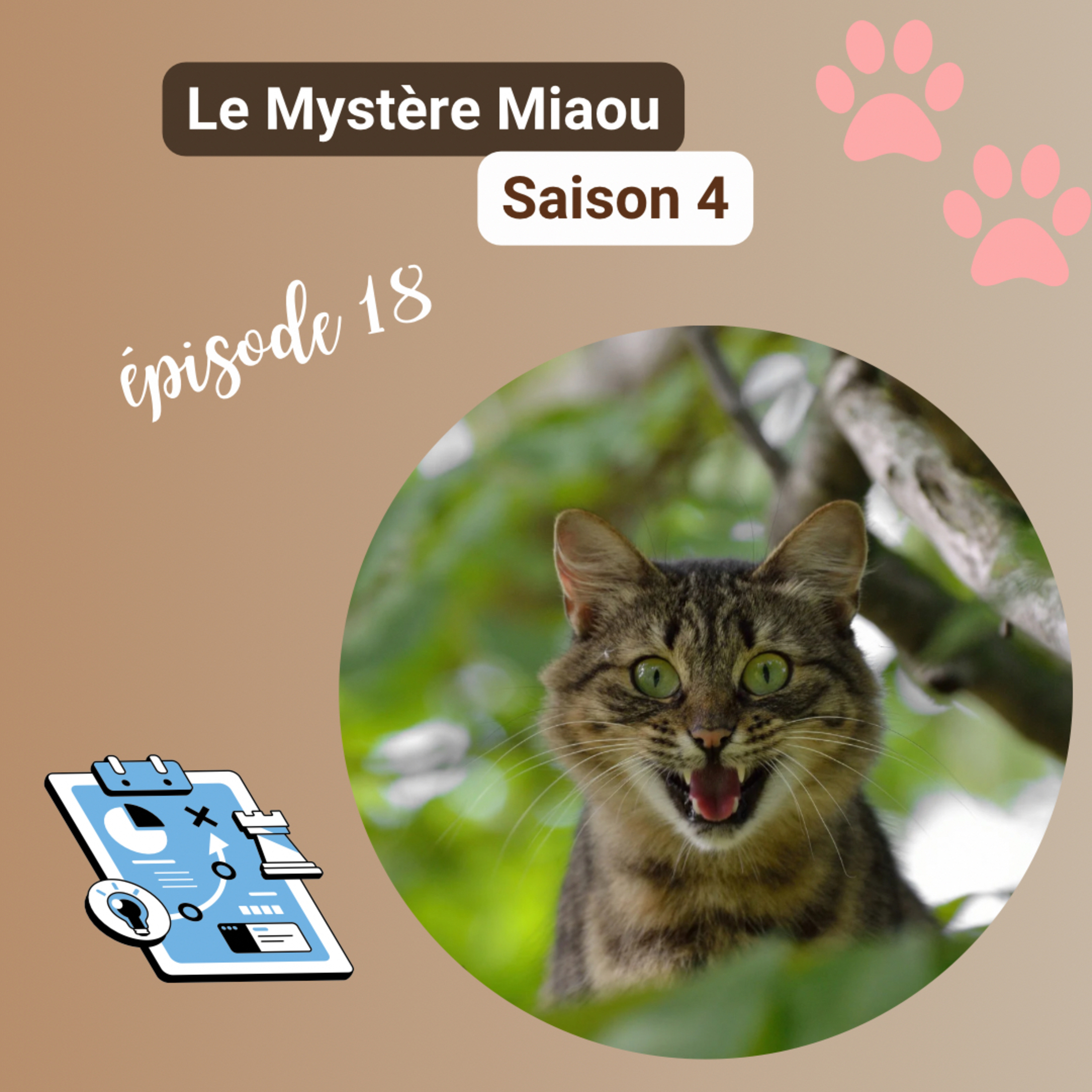 S4-18 : Comportementaliste félin : pourquoi faire appel à ce professionnel du chat ?