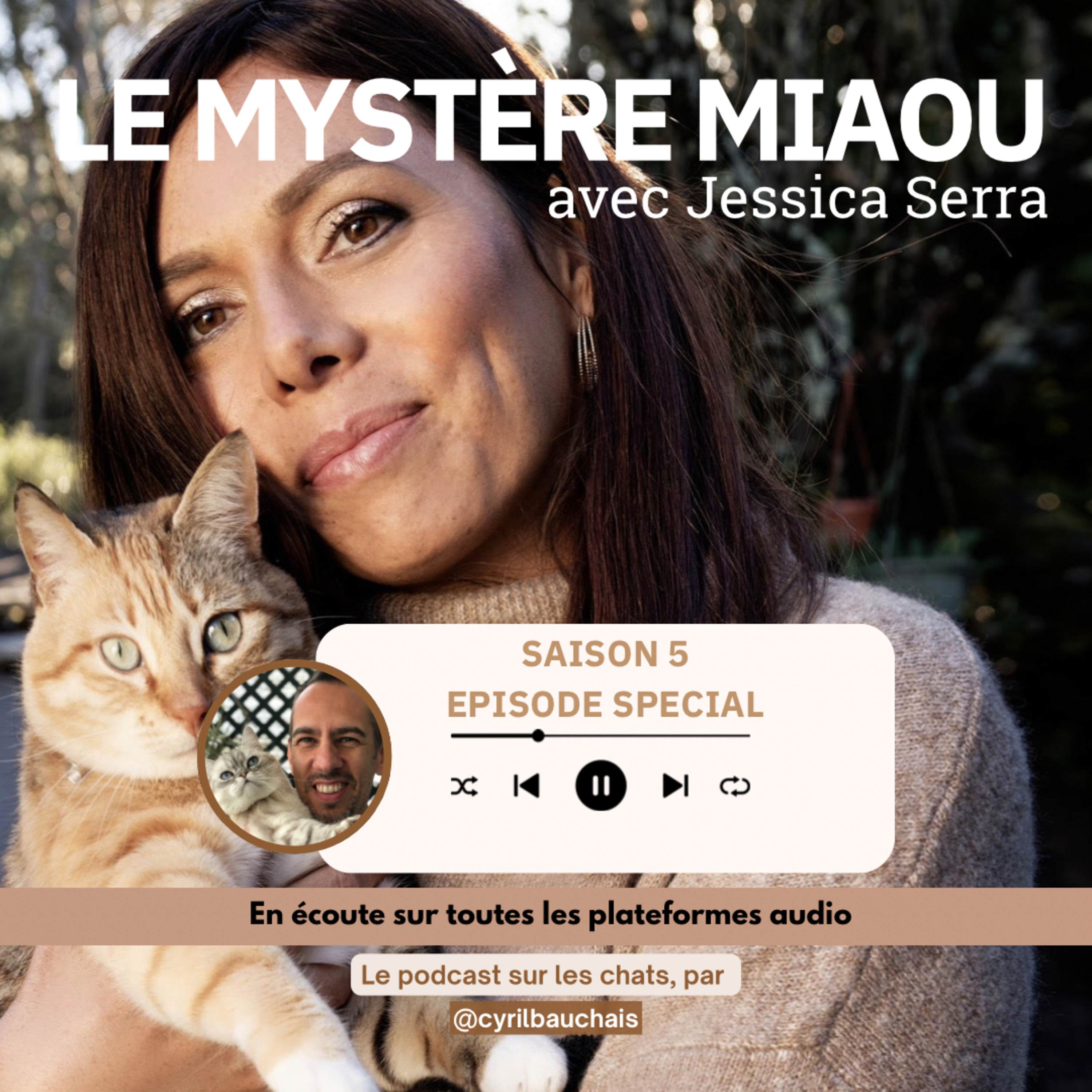 Le Mystère Miaou, un podcast de chats.