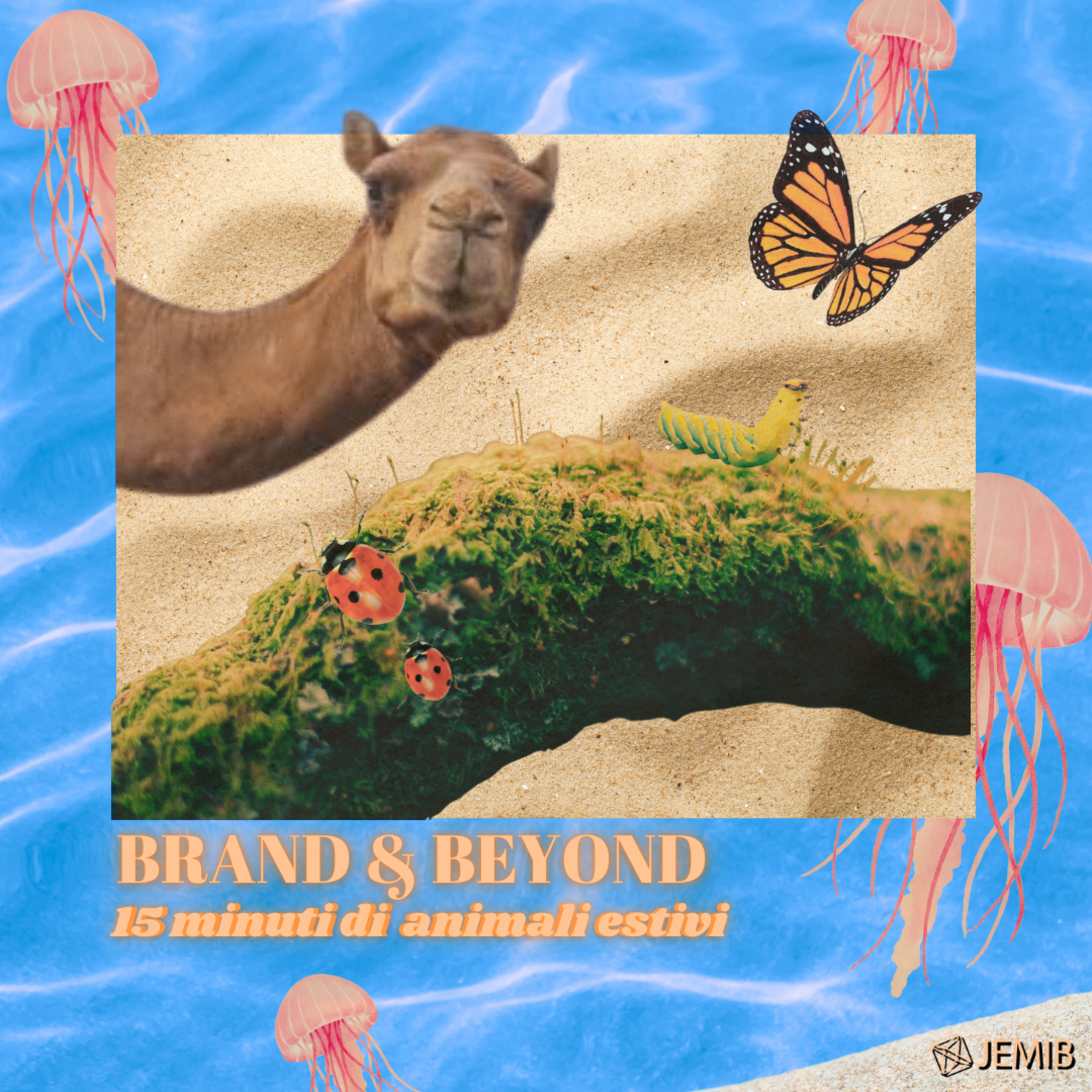 Brand and Beyond