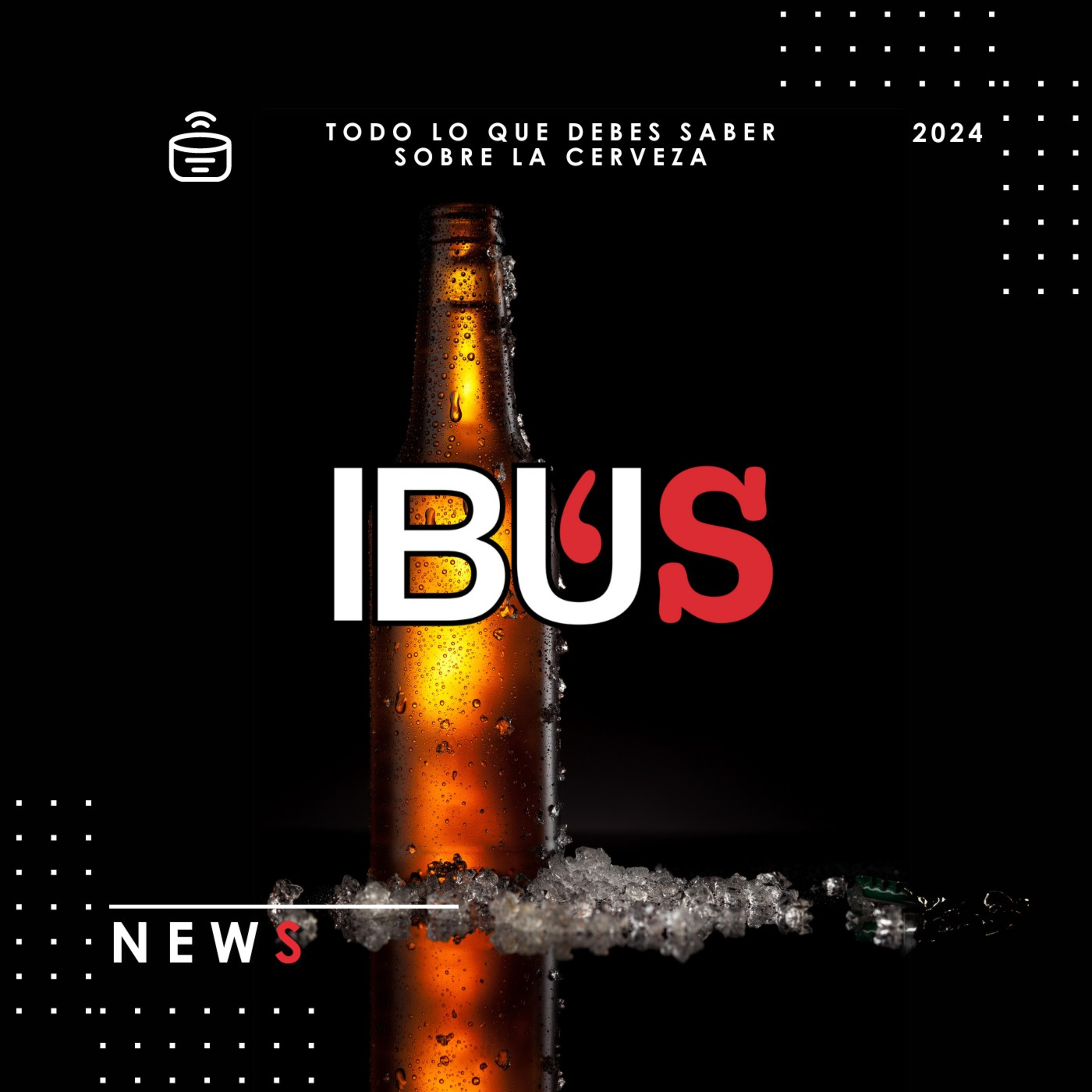 IBU'S News 02/10/2024. episode artwork