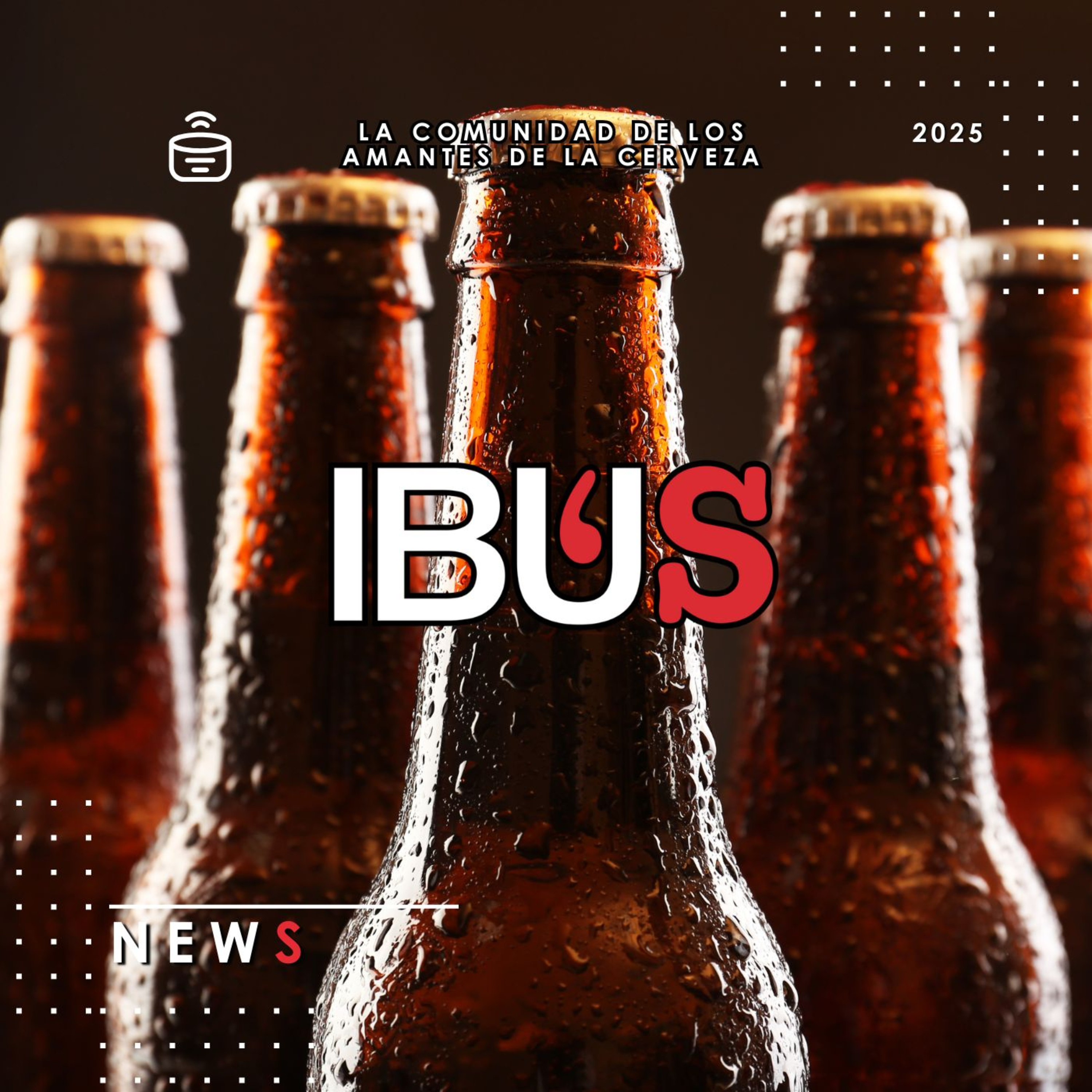 IBU'S News 31/01/2025 episode artwork