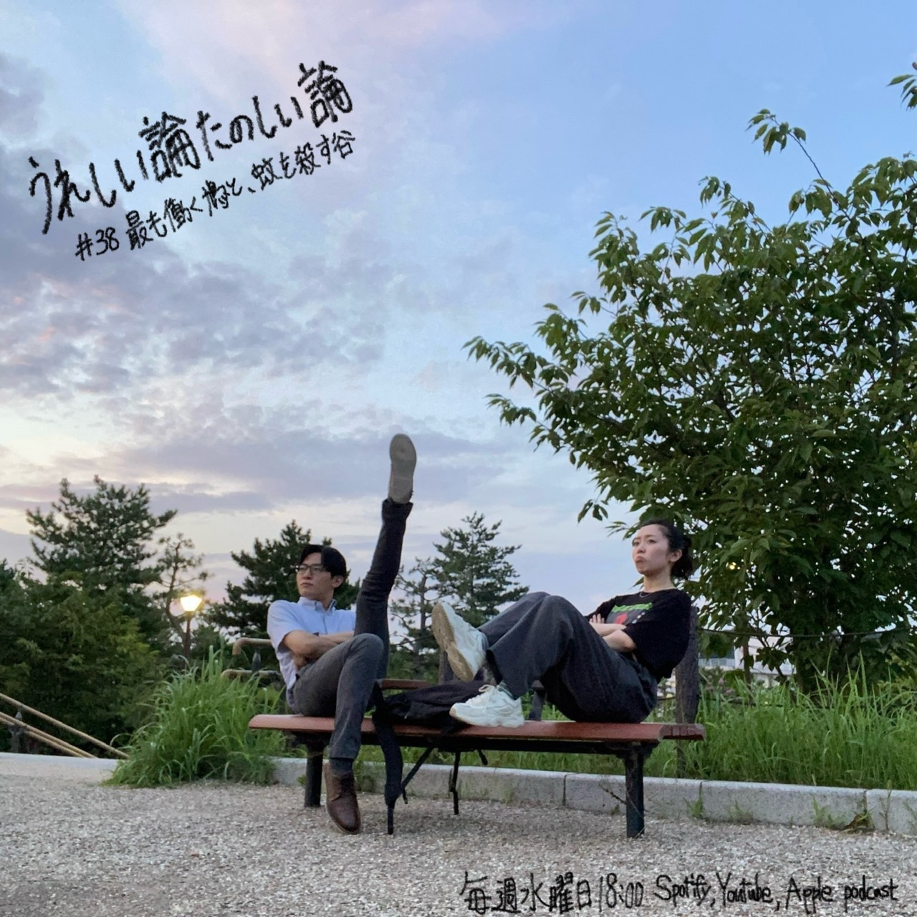 #38「最も働く鳩と、蚊を殺す谷」 episode artwork