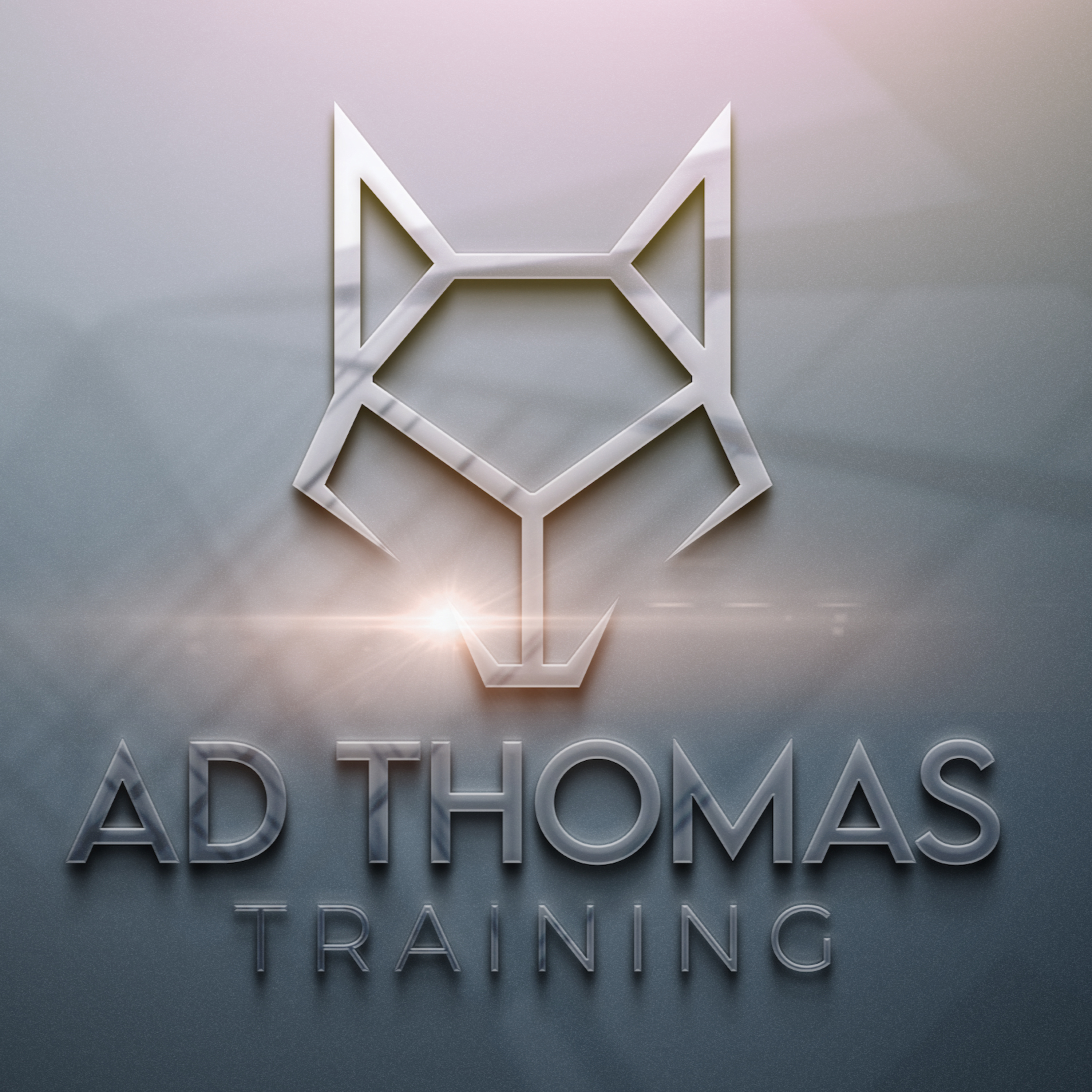 E8. How I Coach Online Clients episode artwork
