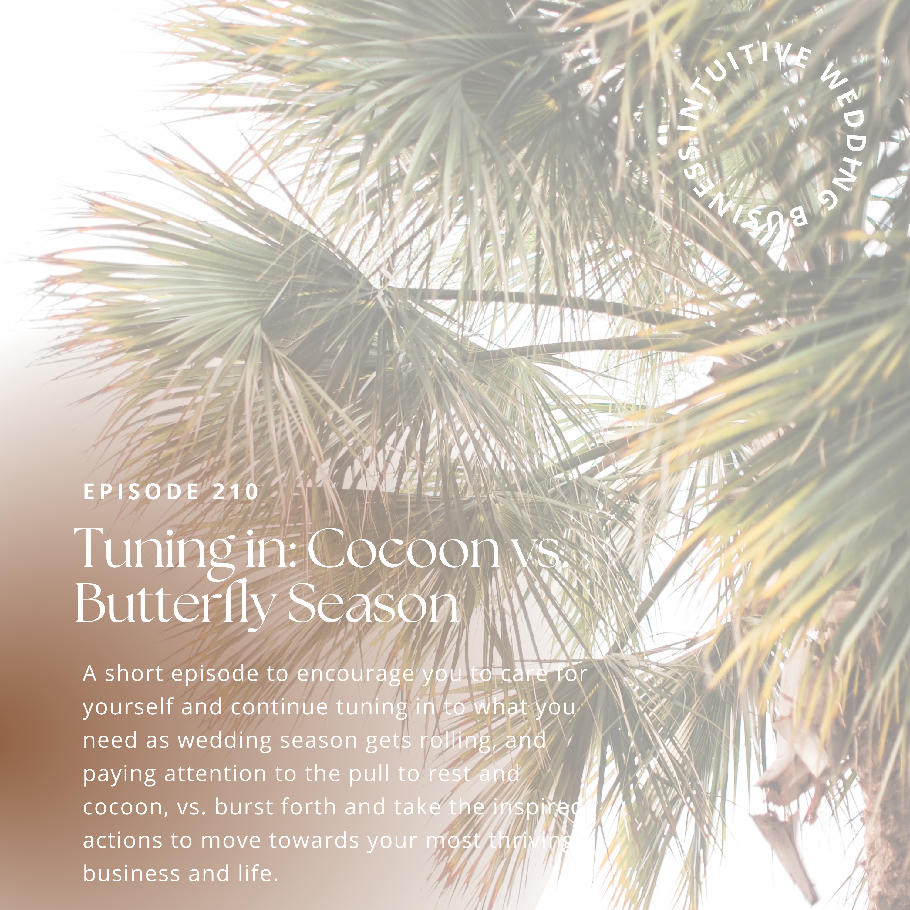 Your Intuitive Wedding Business with Jen Creed