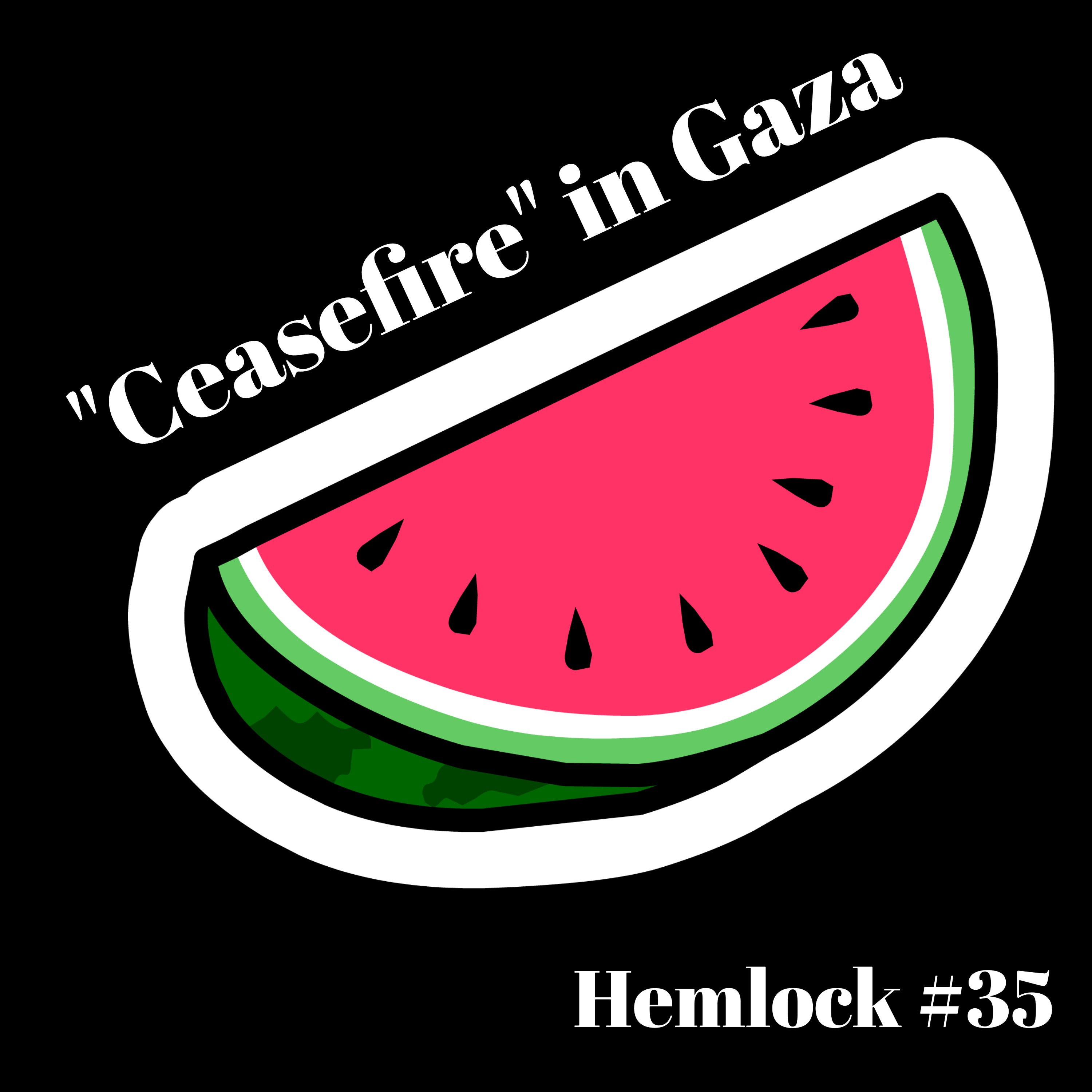 The "Ceasefire" in Gaza feat. Sabrina Jennings