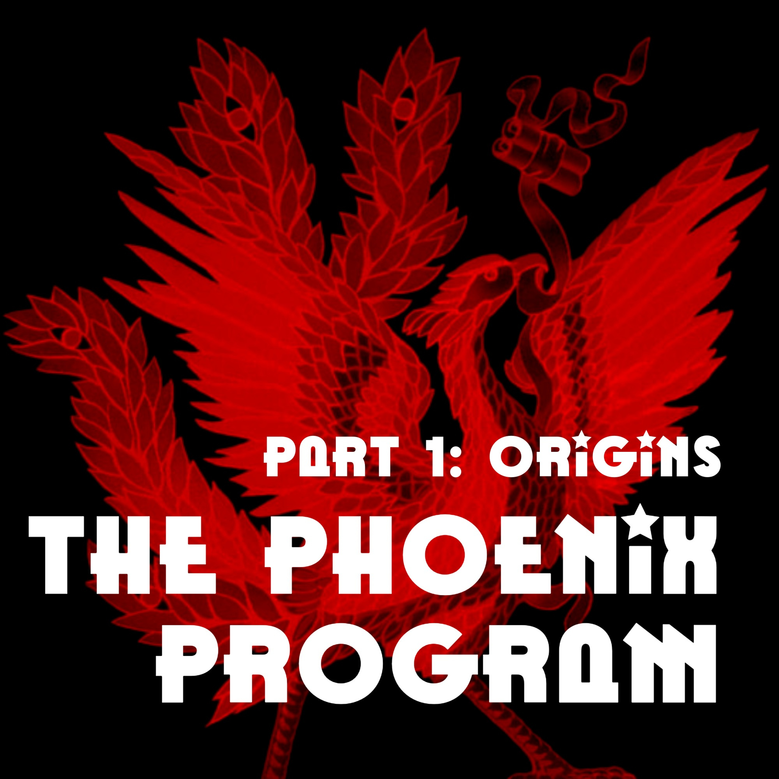 The Phoenix Program: PART ONE - ORIGINS