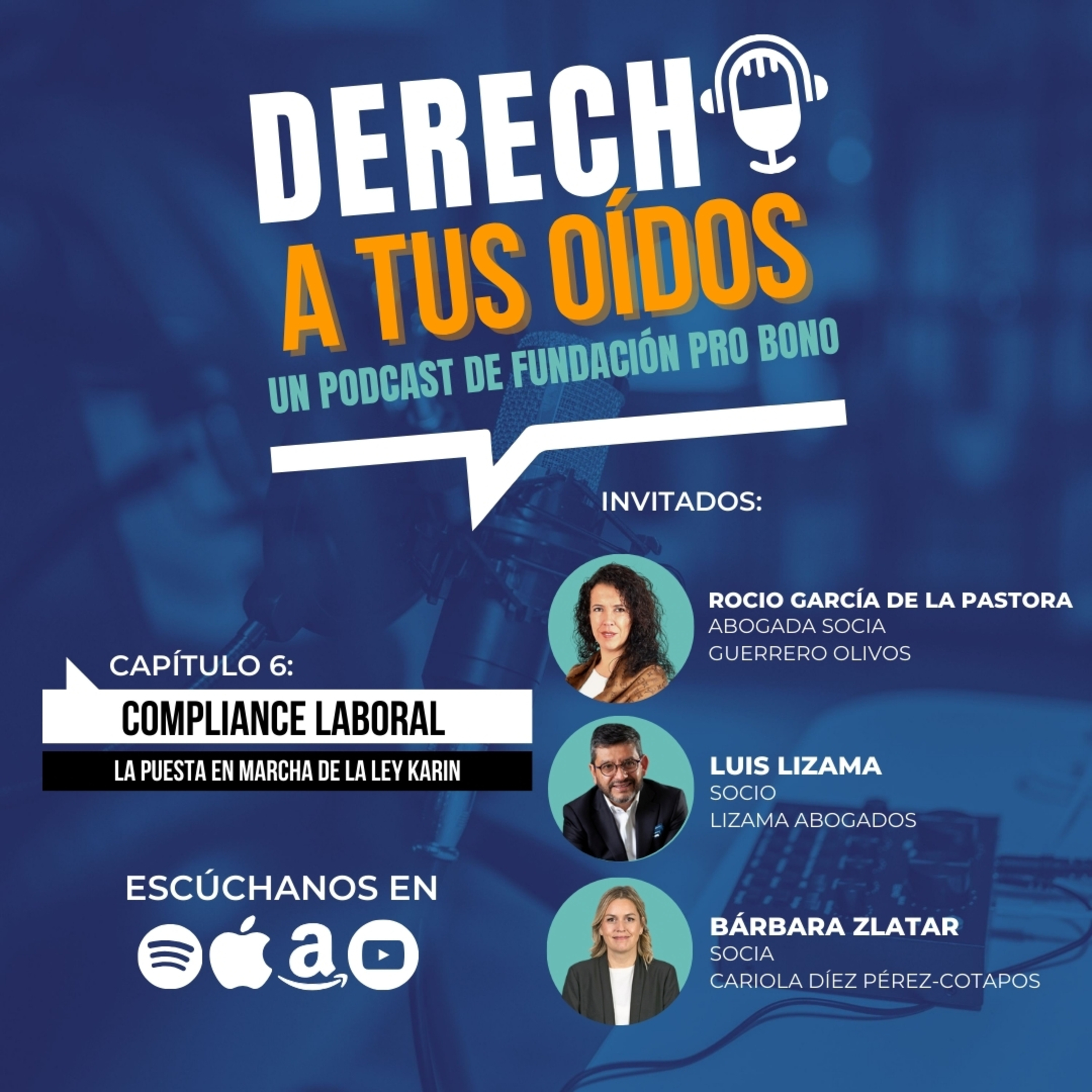 Derecho a tus Oídos | Un pódcast de Fundación Pro Bono