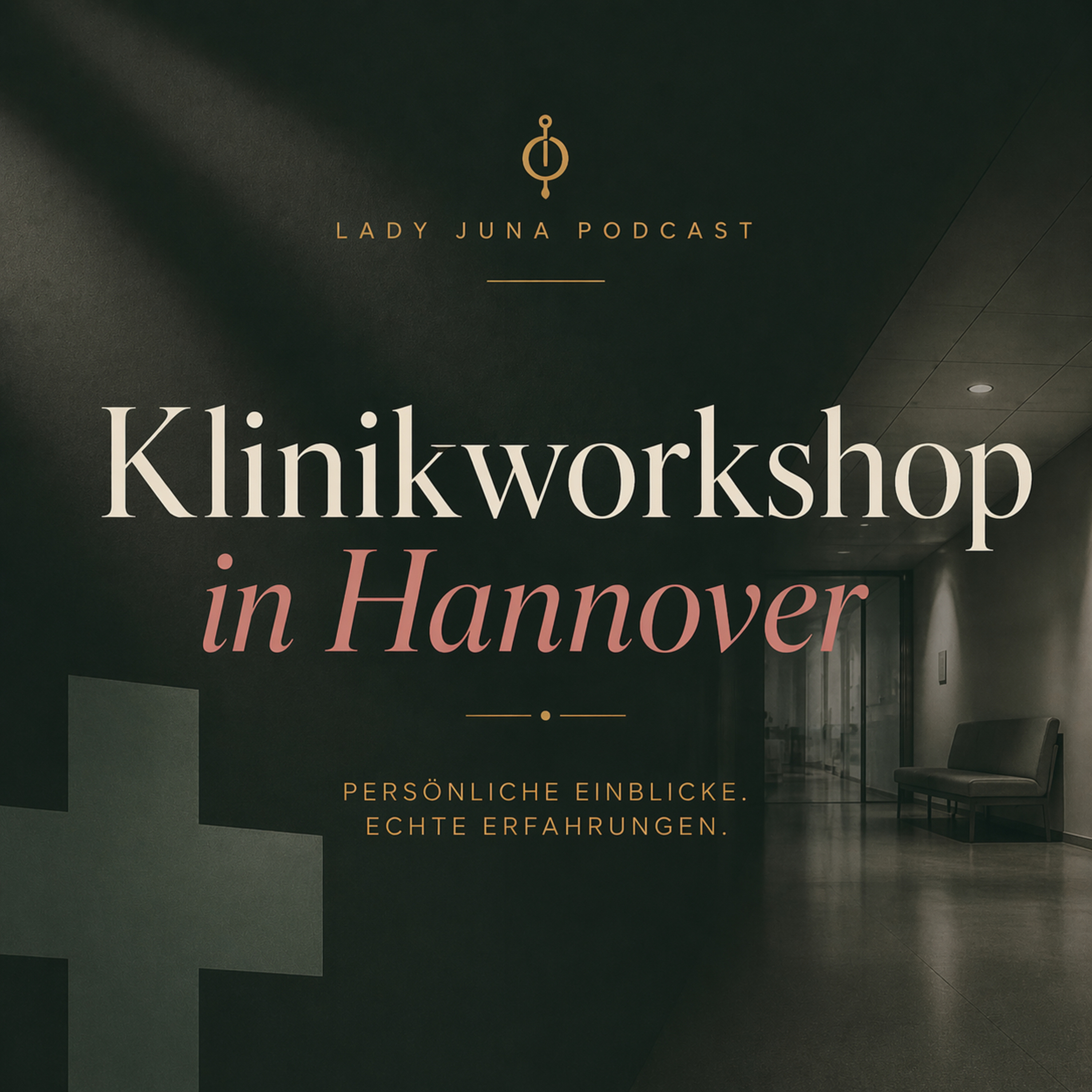 Klinikworkshop in Hannover  episode artwork