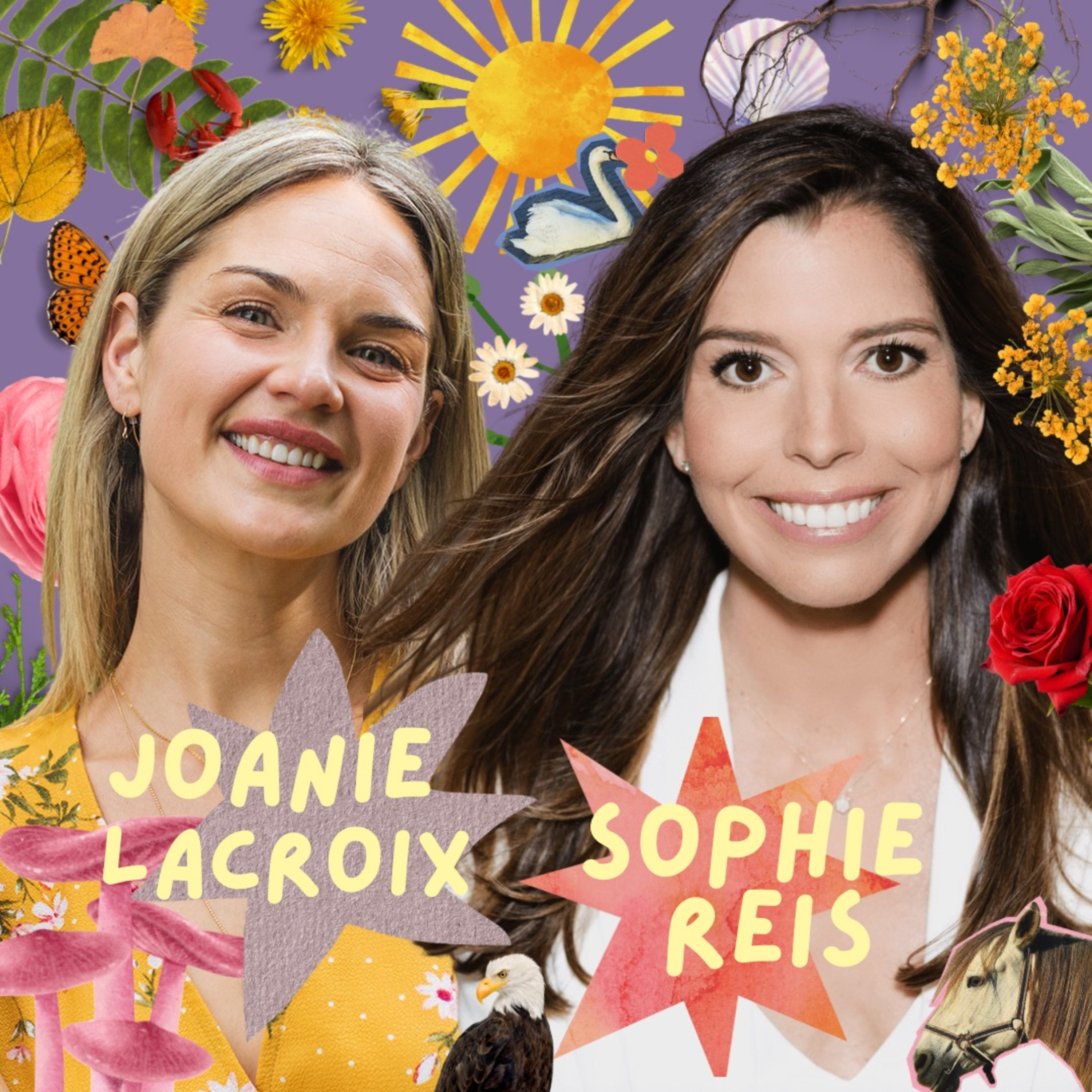 L\'école de la vie