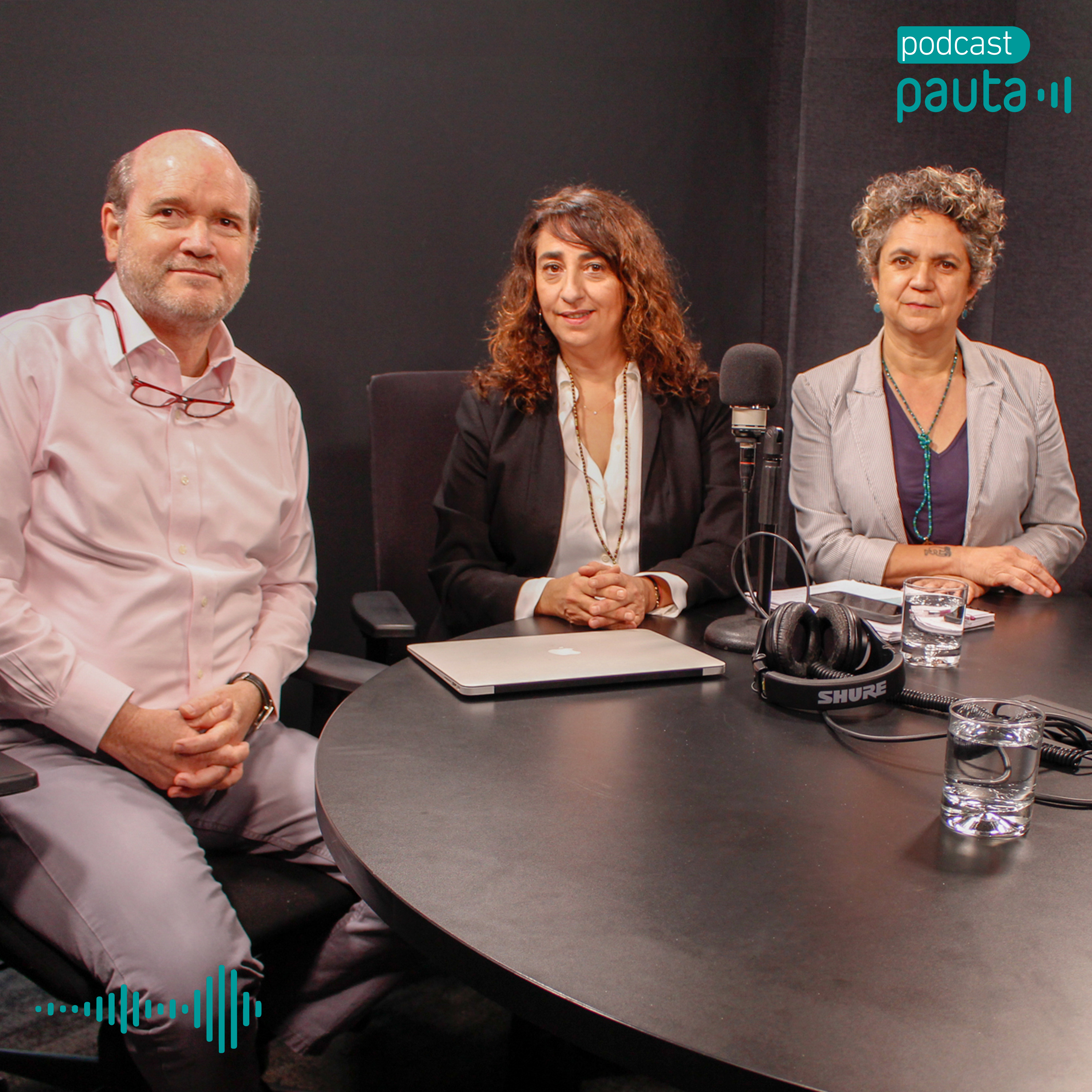 Paula Walker, Patricio Dusaillant y el relato en las campañas del plebiscito episode artwork