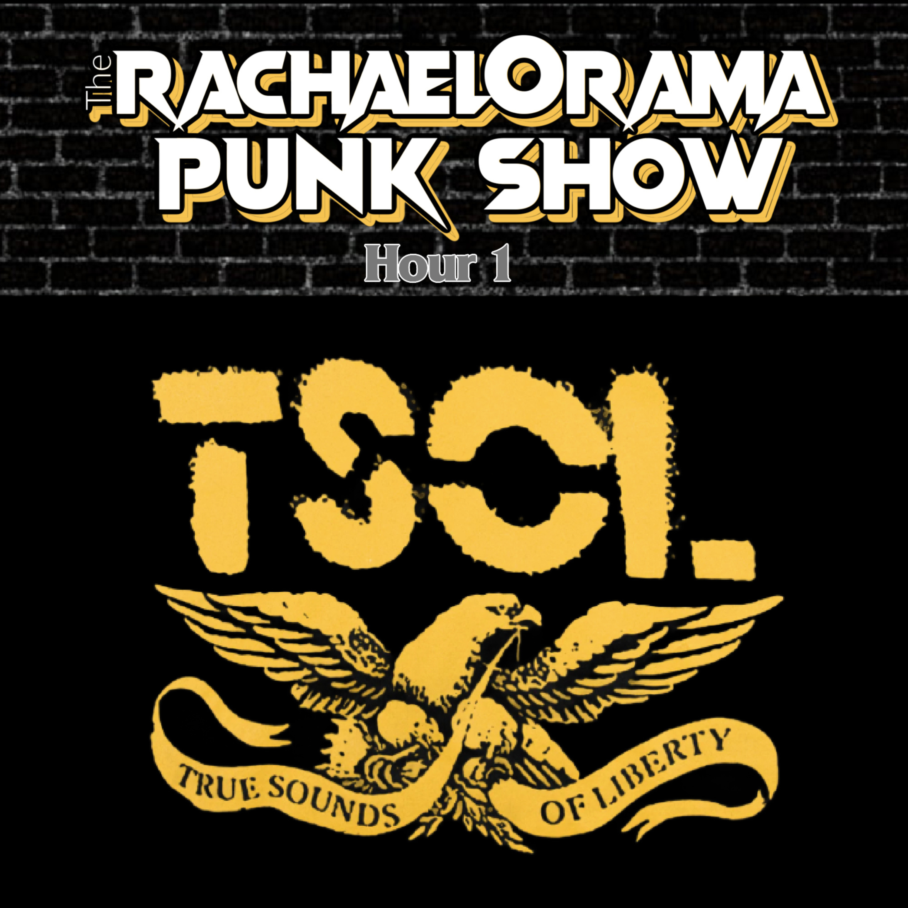 T.S.O.L. Hour 1 episode artwork