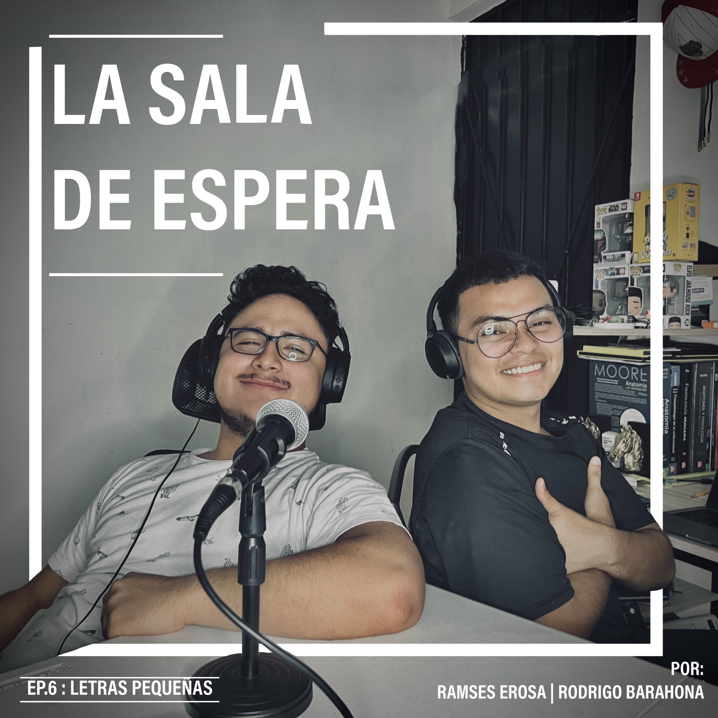 Letras pequeñas (Ft. Sebastián Kantún) 