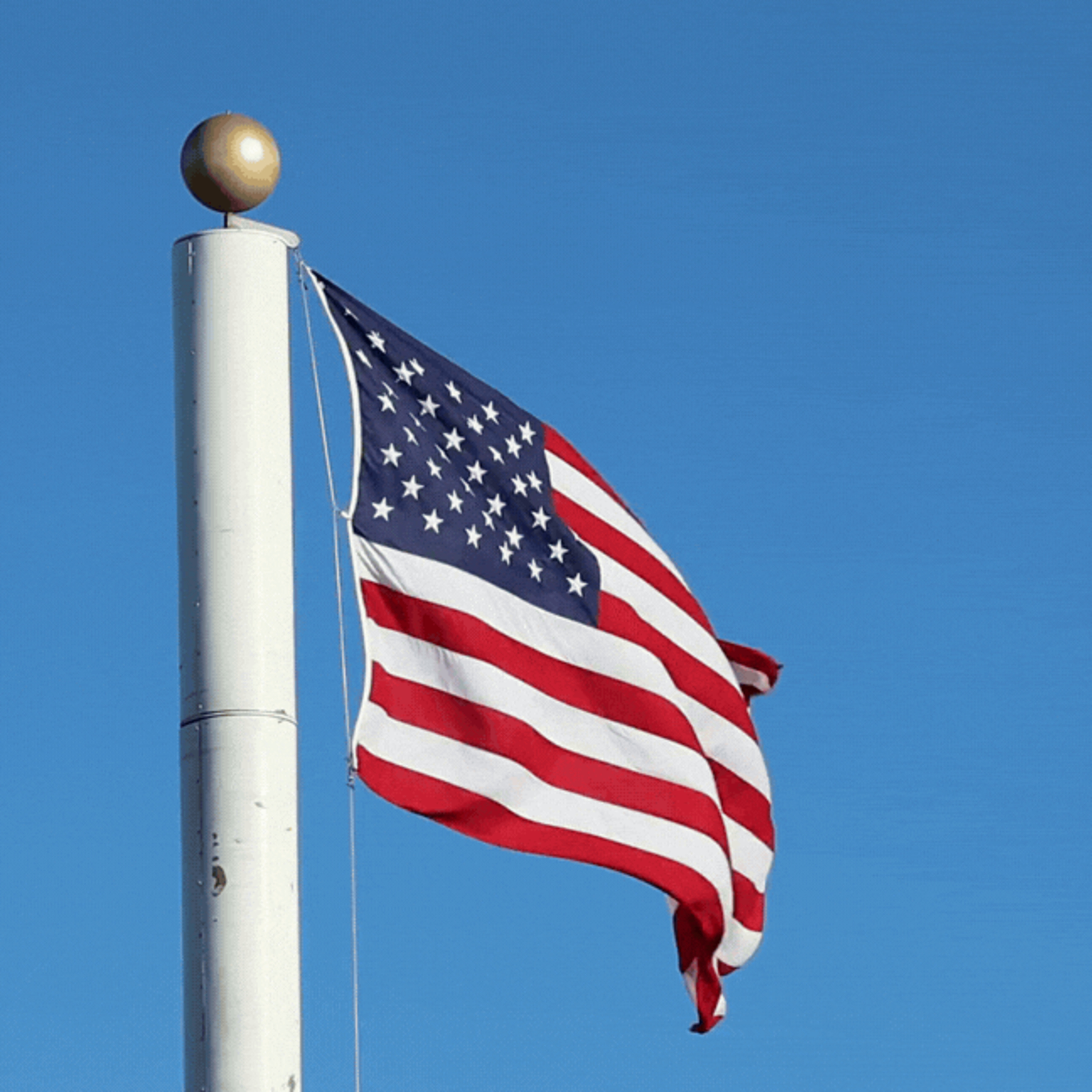 City of Elk Grove News Podcasts - Our democracy is worth fighting for episode artwork