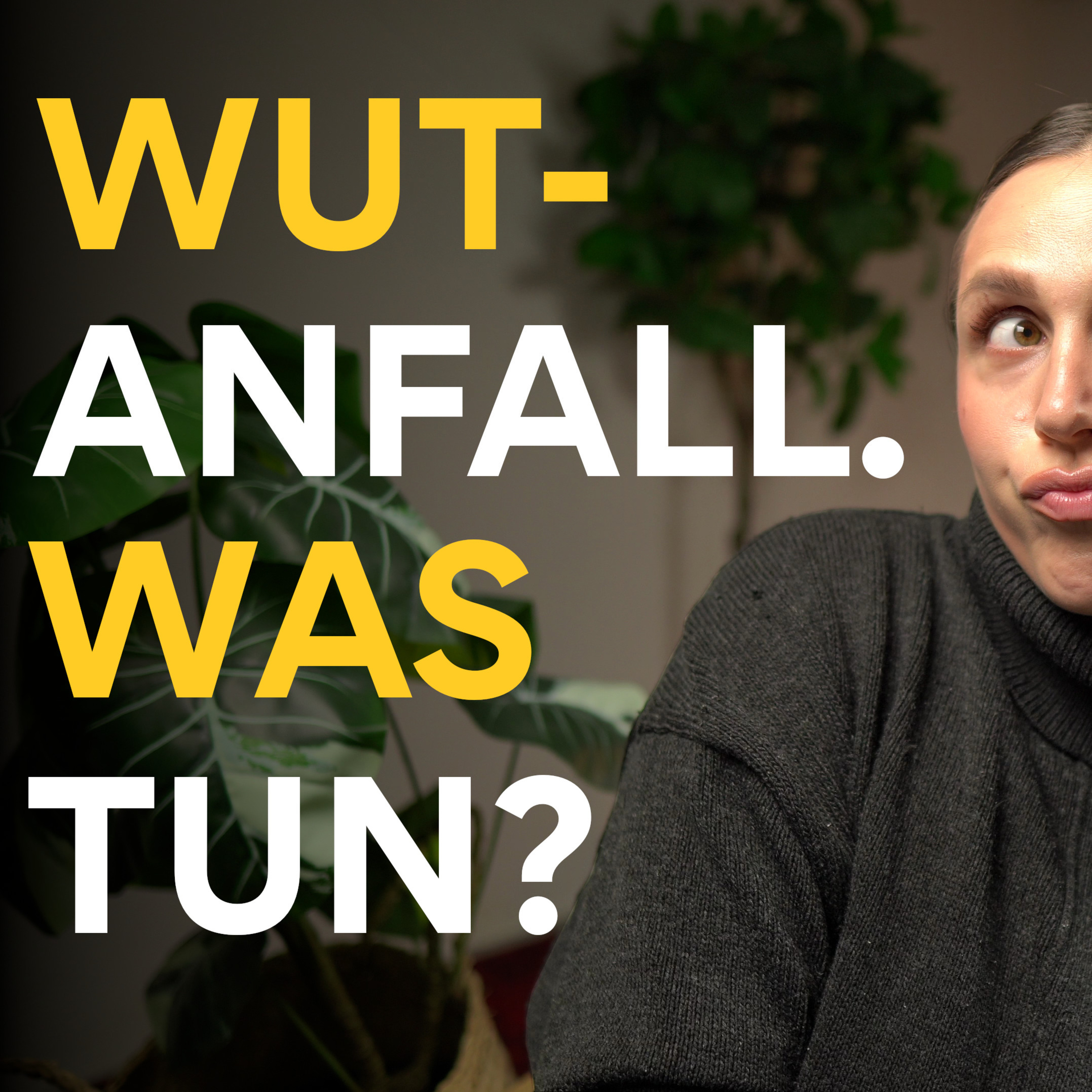 Wutanfälle bedürfnisorientiert begleiten | Erste Hilfe Plan episode artwork