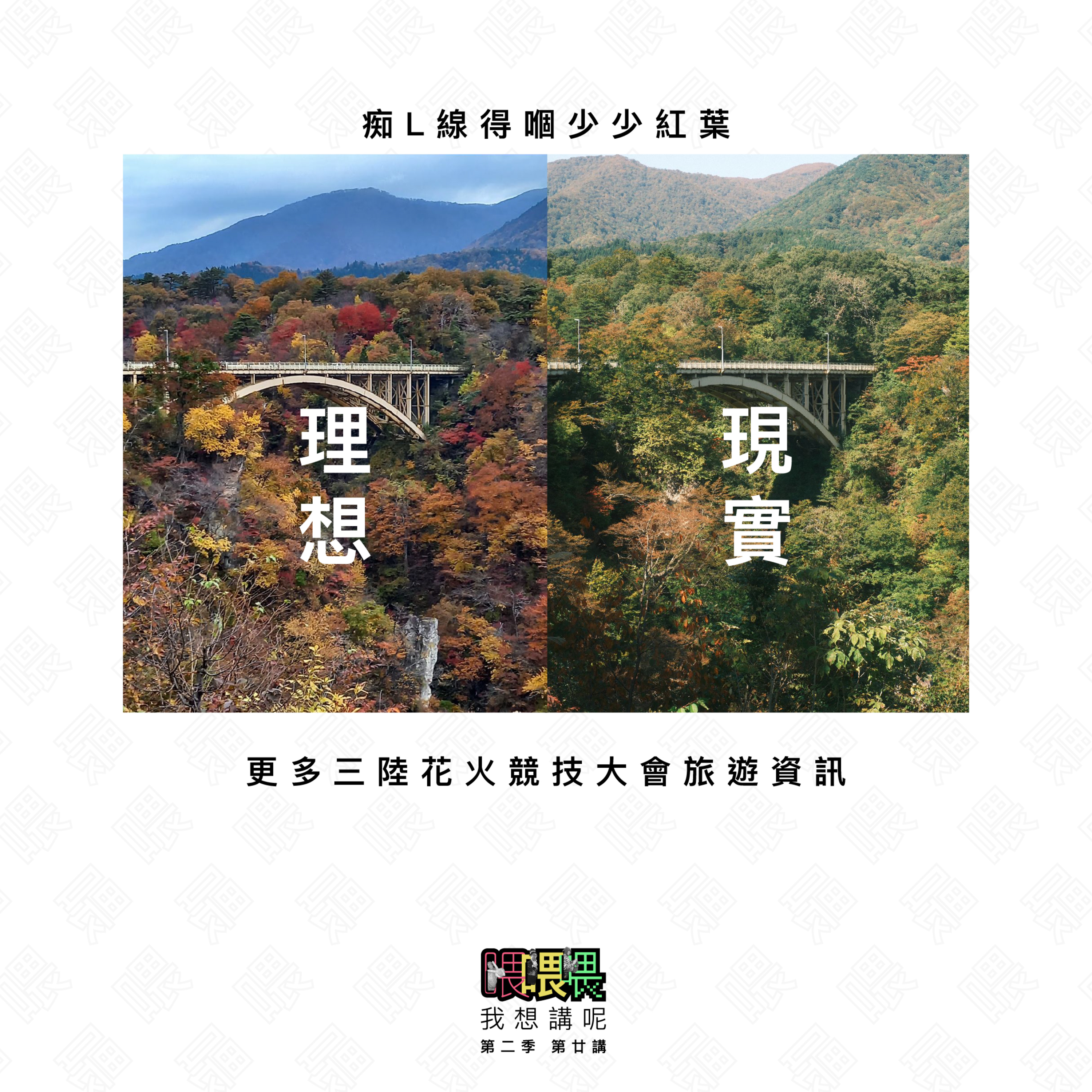 喂我想講呢
