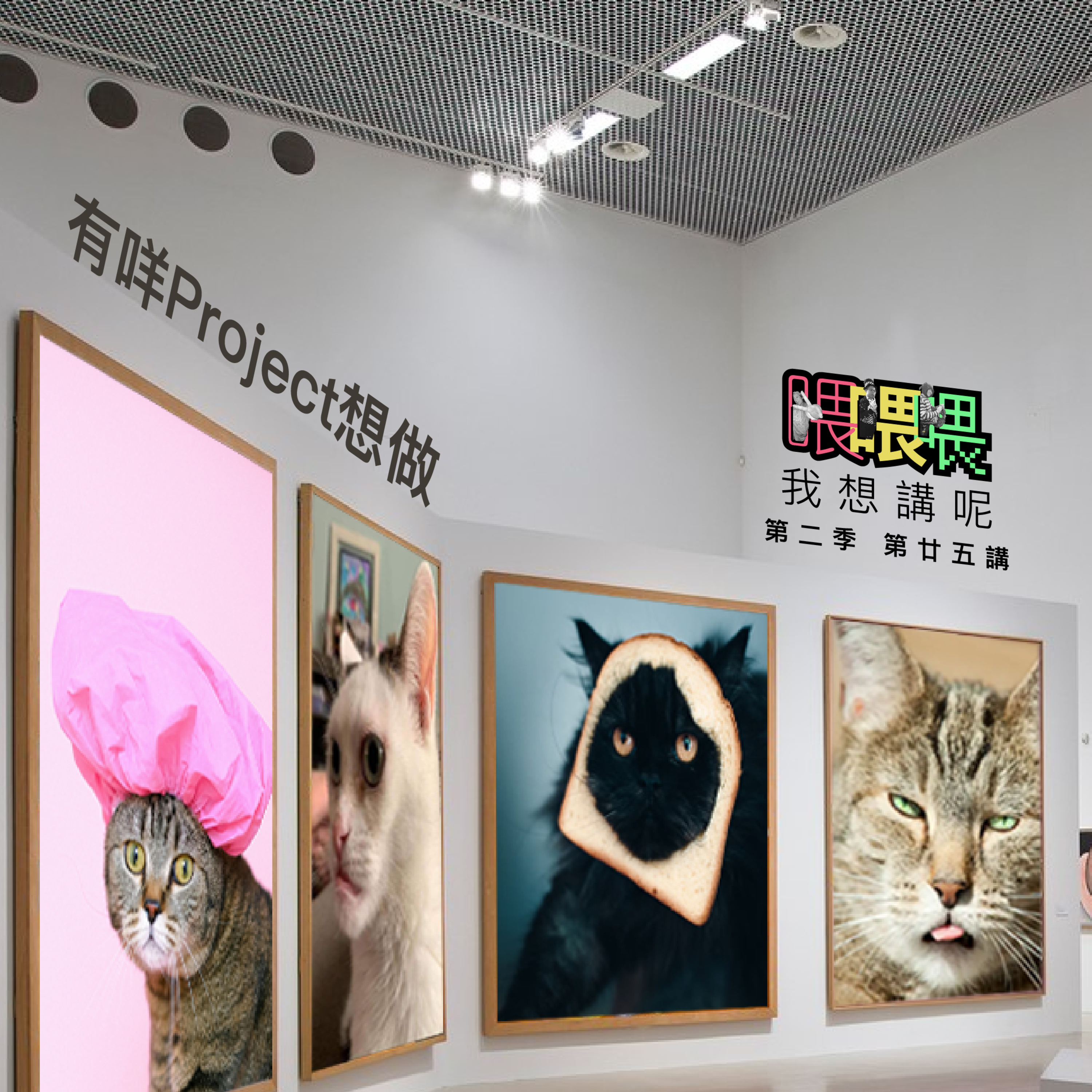 喂我想講呢