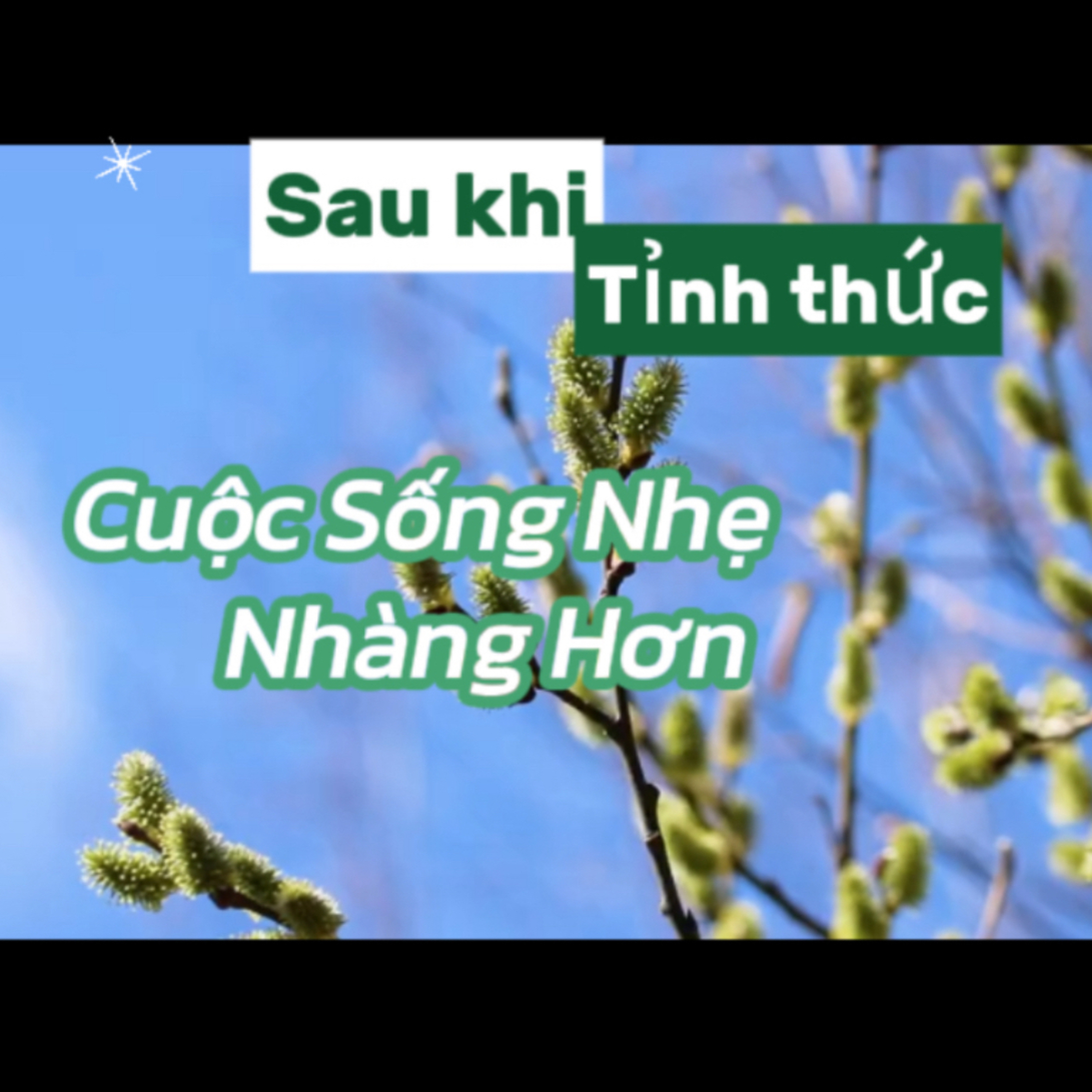 Cuộc Sống Nhẹ Nhàng Hơn: Sau Tỉnh Thức  episode artwork