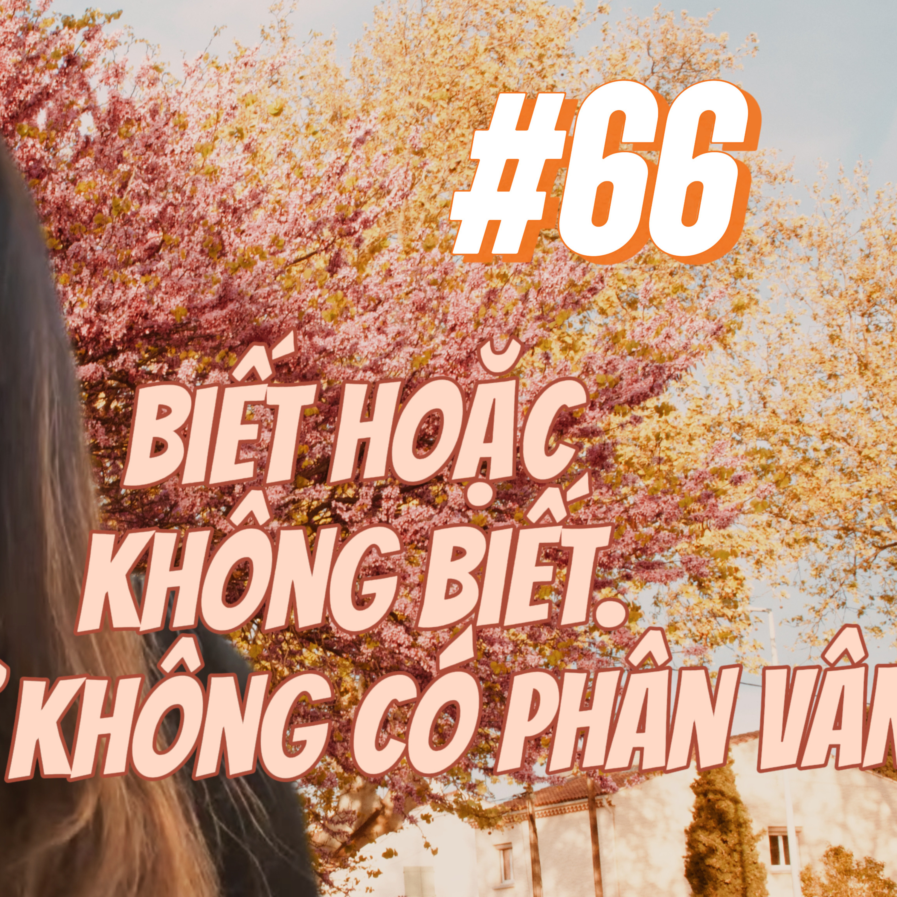NGƯỜI THẦY TRONG HIỆN TẠI episode artwork