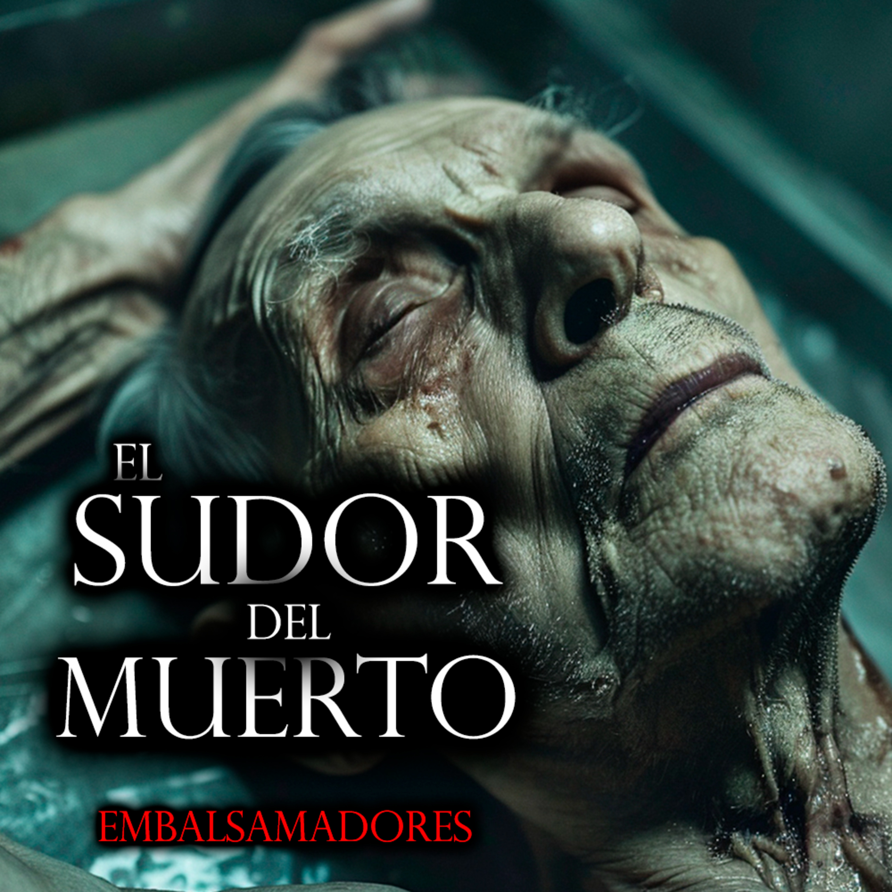 SUDOR DE MUERTO, ALGO QUE NUNCA DEBES TOCAR | Historias de Terror y Relatos de Terror episode artwork