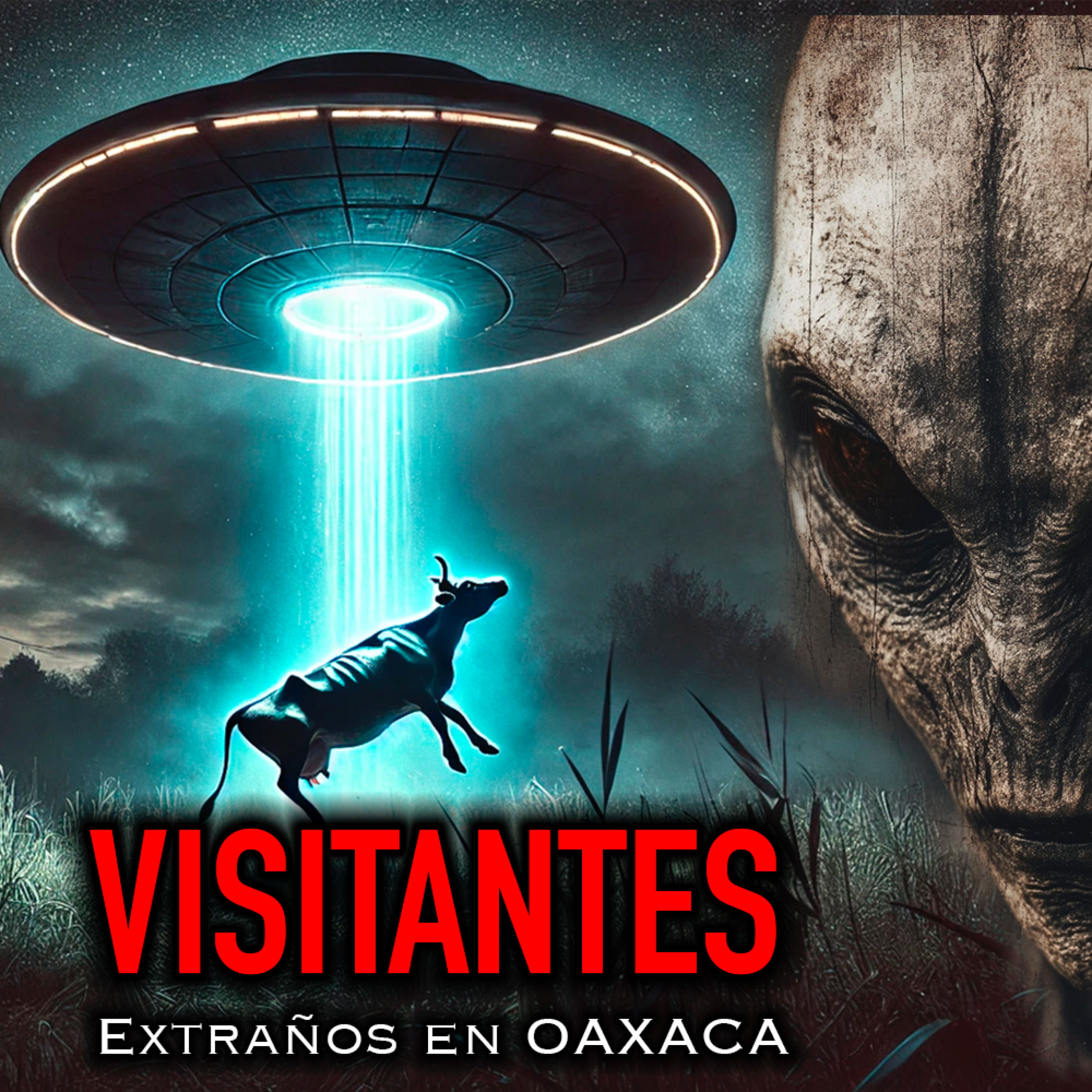 VISITANTES MALDITOS | Historias de Terror de Extraterrestres episode artwork