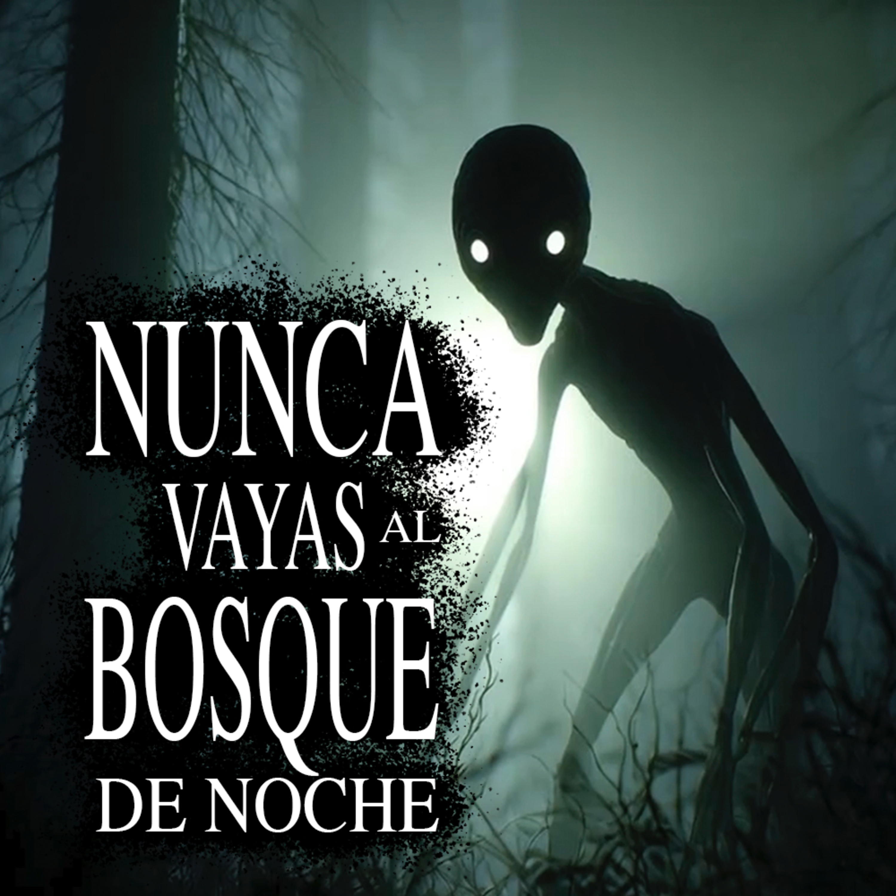 ELLA NÓ ESTABA LOCA | Historias Paranormales Aterradoras episode artwork