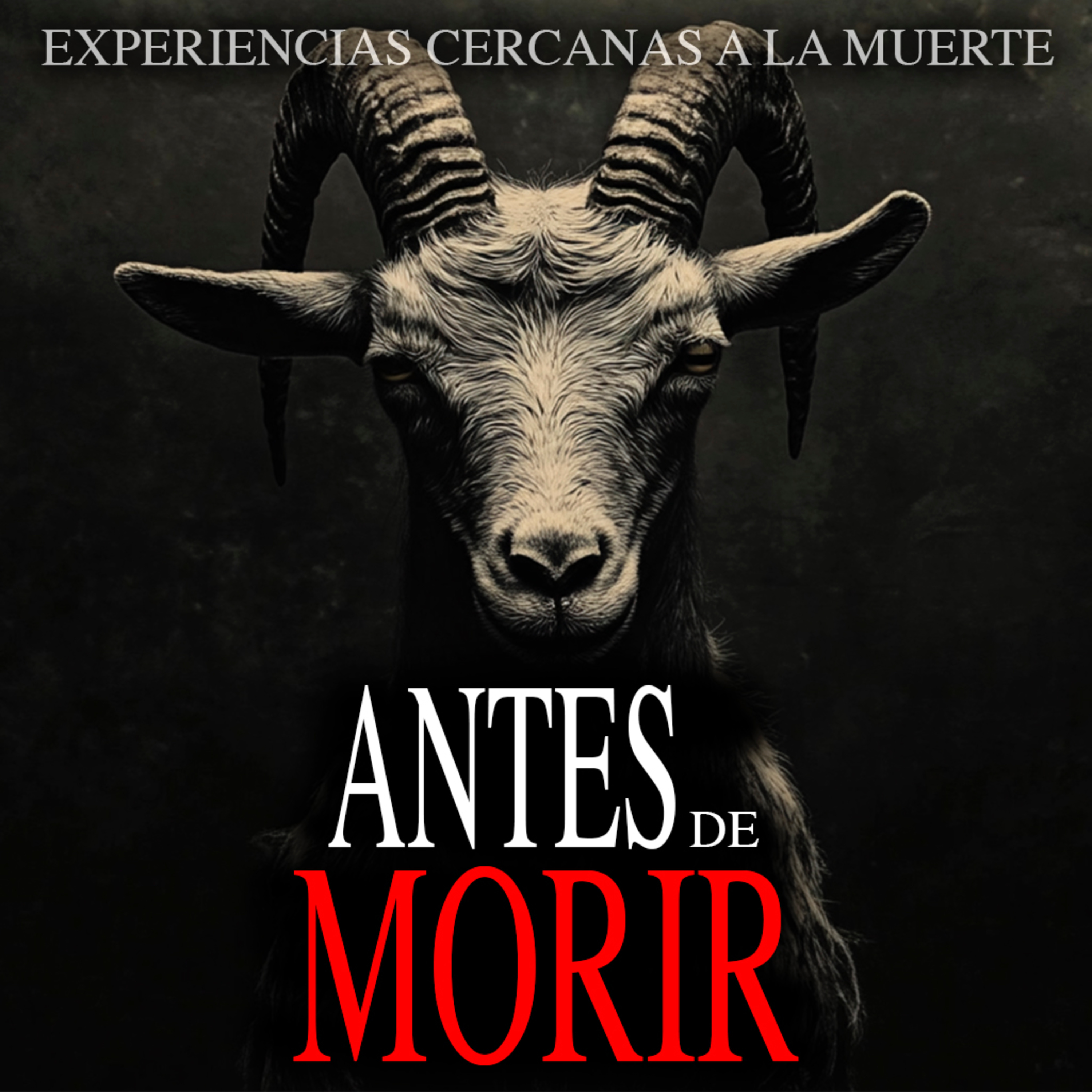 EXPERIENCIAS CERCANAS A LA MUERTE | Historias Paranormales para No Dormir episode artwork