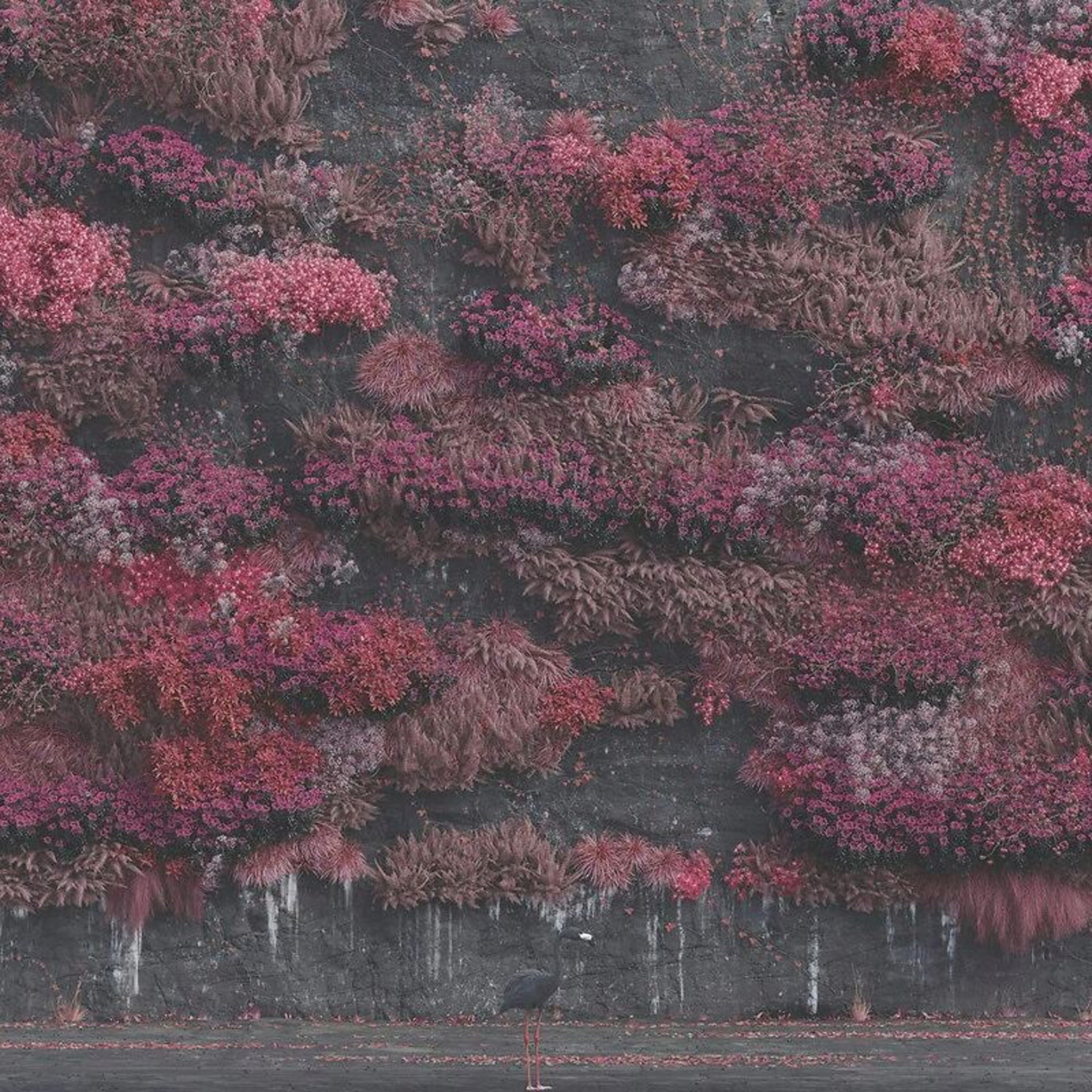 Episode #43 Even in Arcadia Review