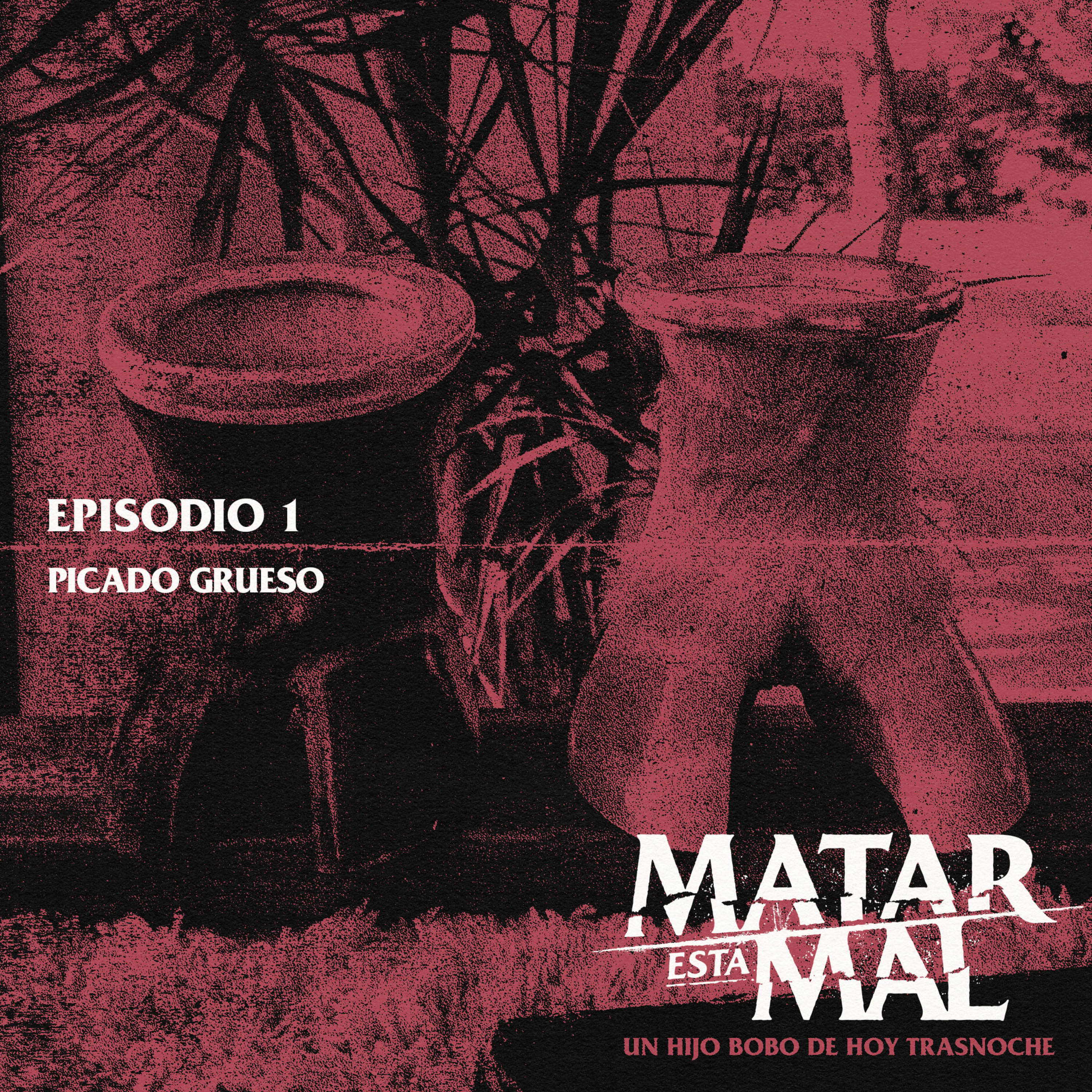 Episodio 1: Picado grueso episode artwork