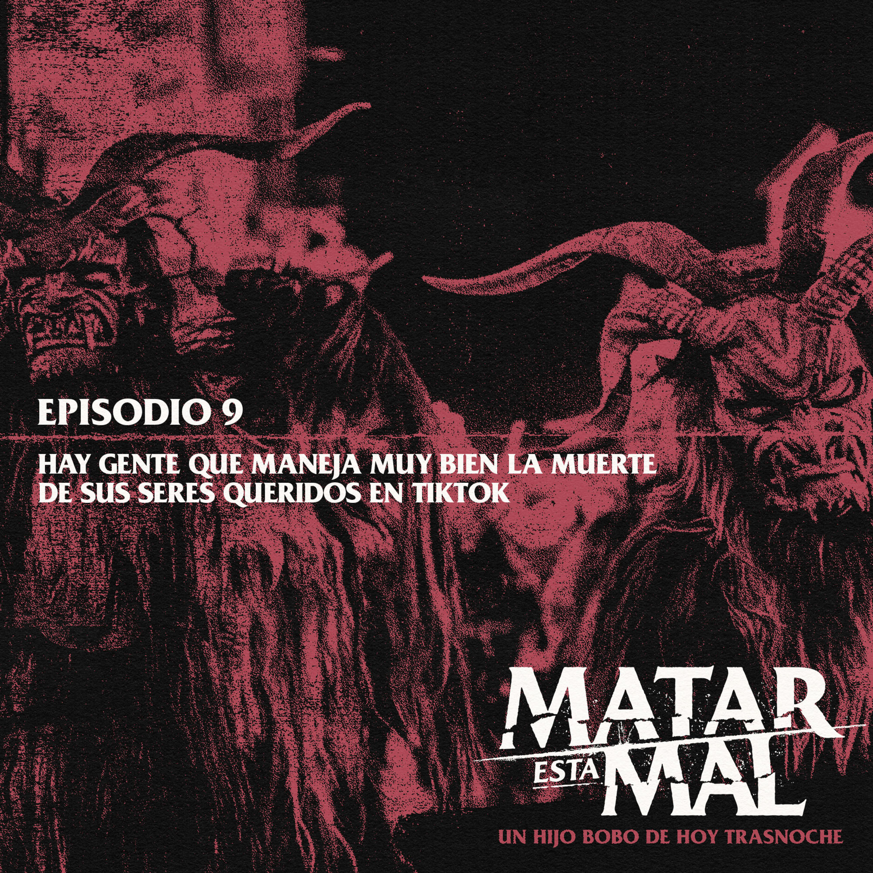 Episodio 9: Hay gente que maneja muy bien el tema de muerte de sus seres queridos en TikTok episode artwork