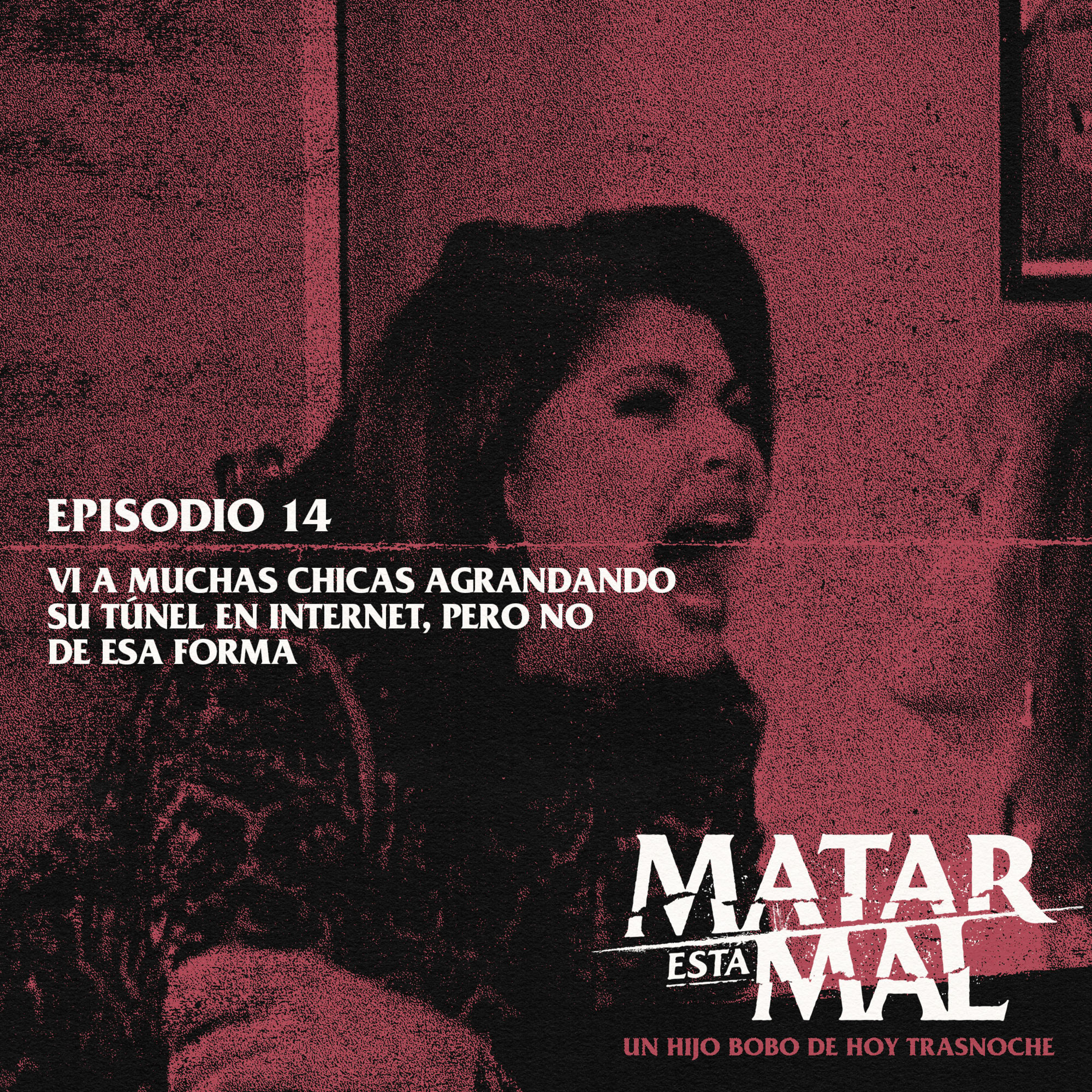 Episodio 14: Vi a muchas chicas agrandando su túnel en internet, pero no de esa forma episode artwork