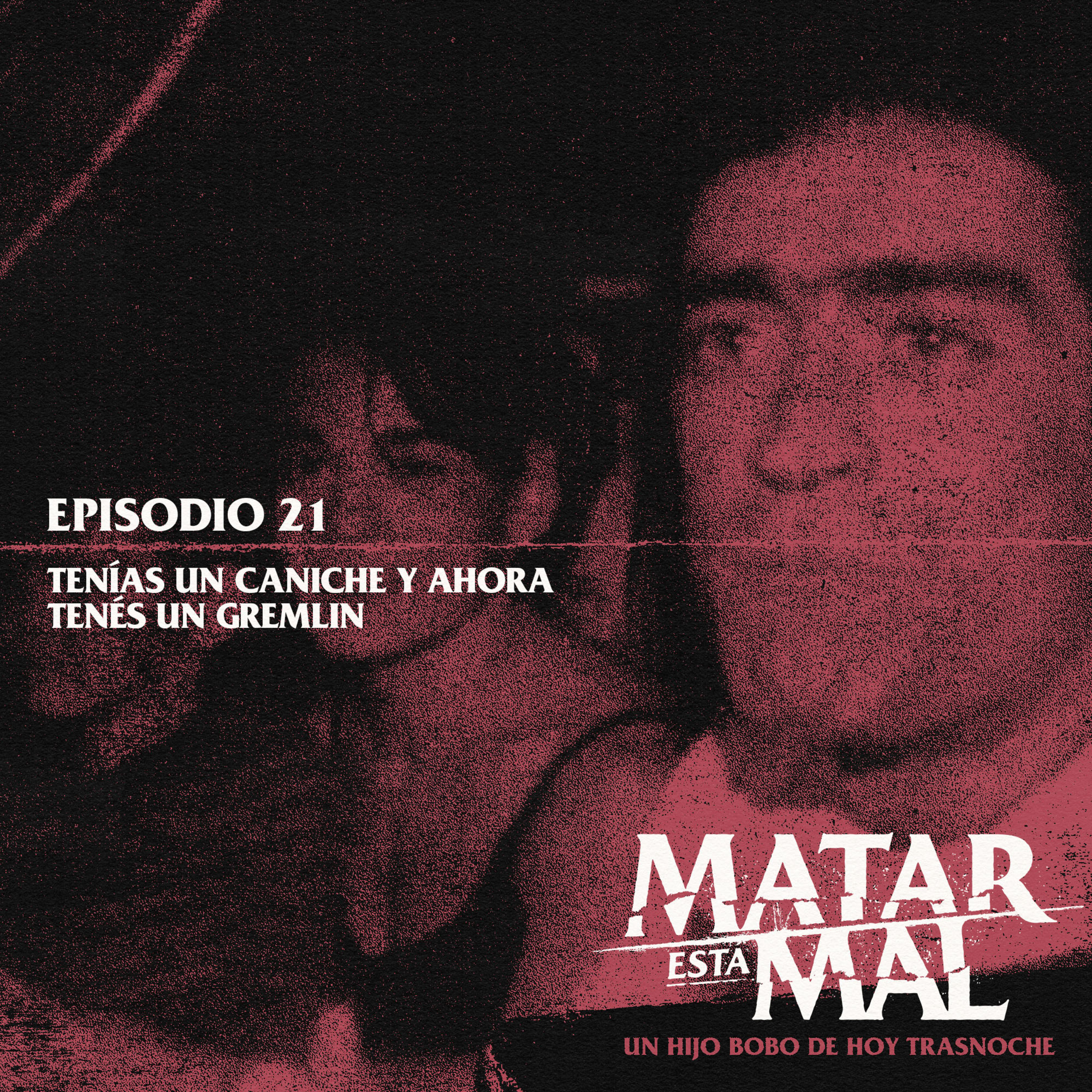 Episodio 21: Tenías un caniche y ahora tenés un gremlin episode artwork