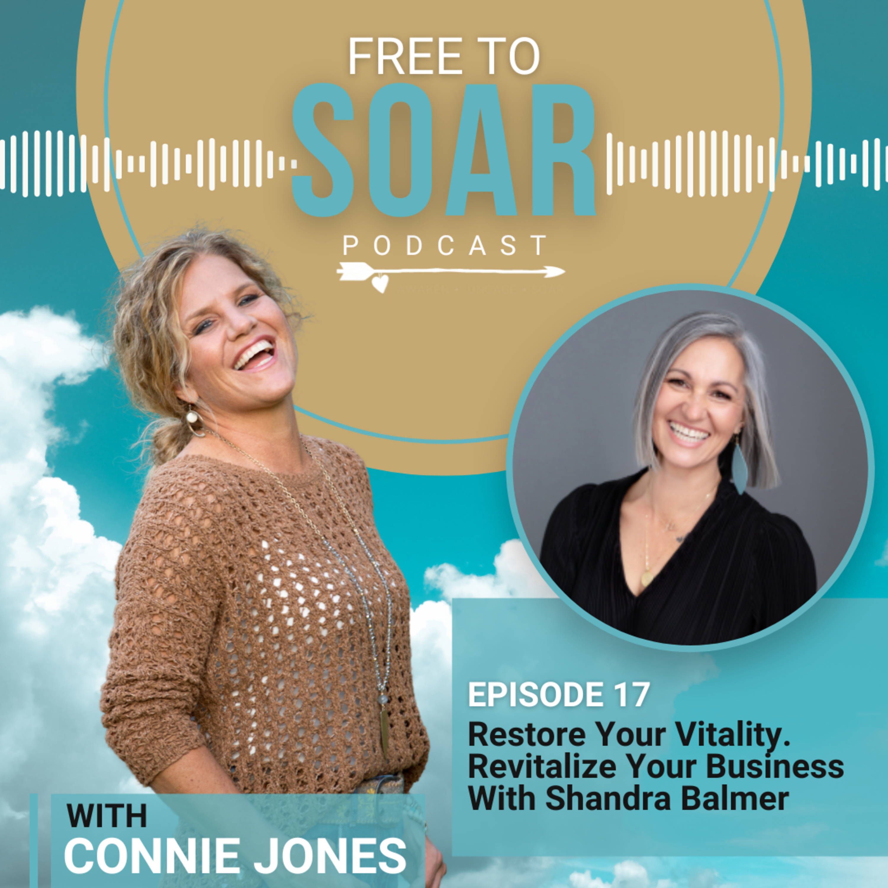 Episode 17 – Restore Your Vitality. Revitalize Your Business. With Shandra Balmer