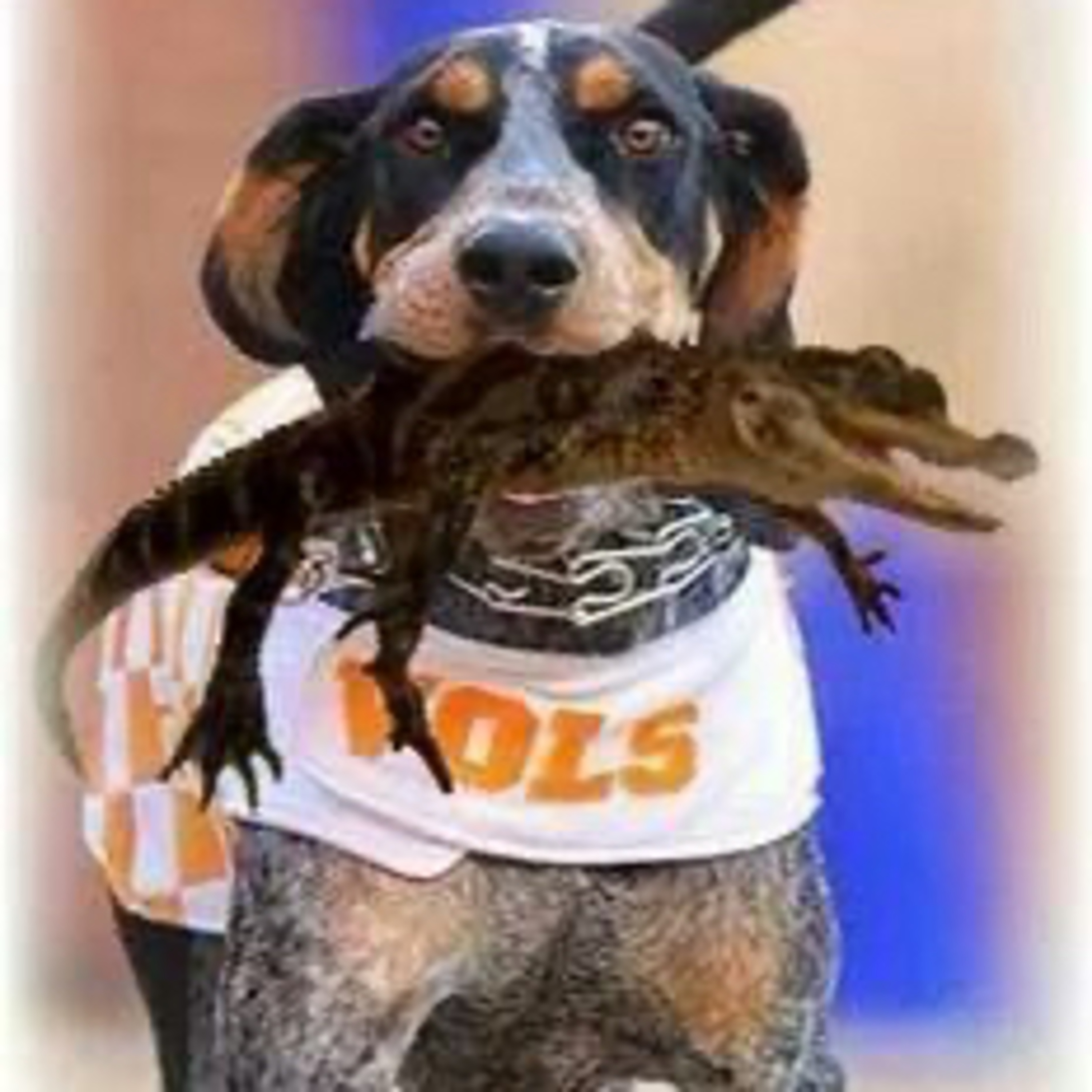 The Vols Get Past the Gators and It’s Tank Time in Tennessee  episode artwork