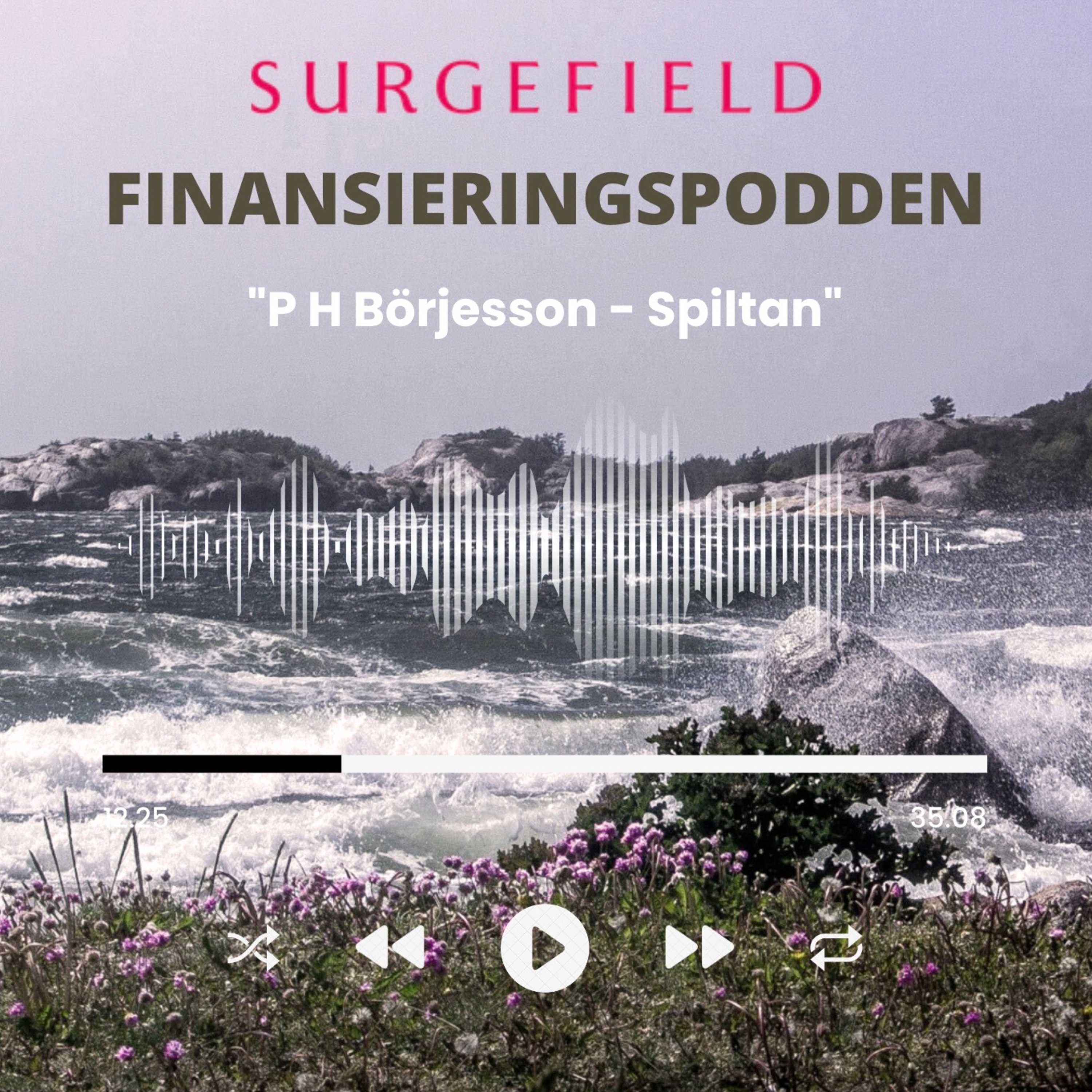 Finansieringspodden