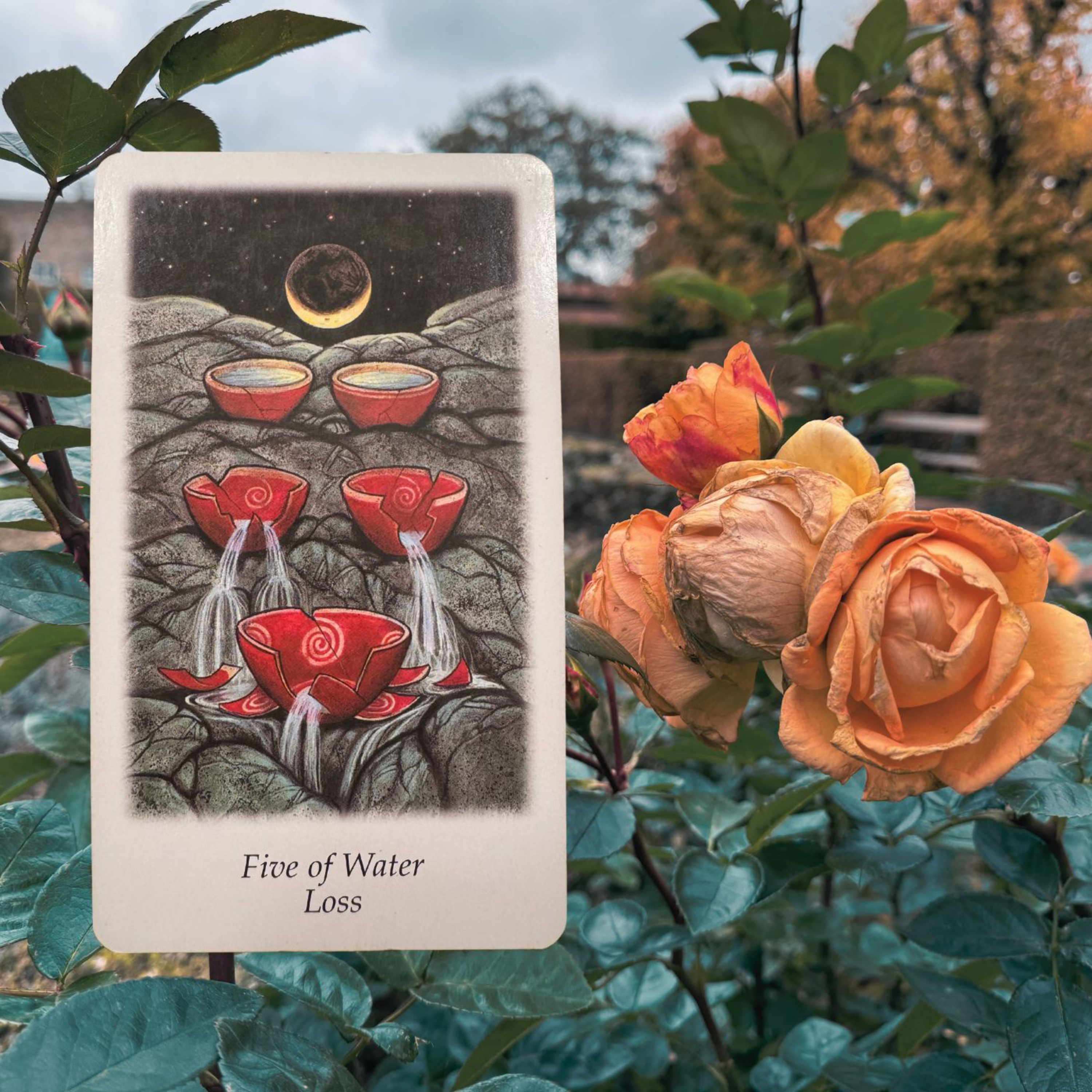 5 of Water episode artwork