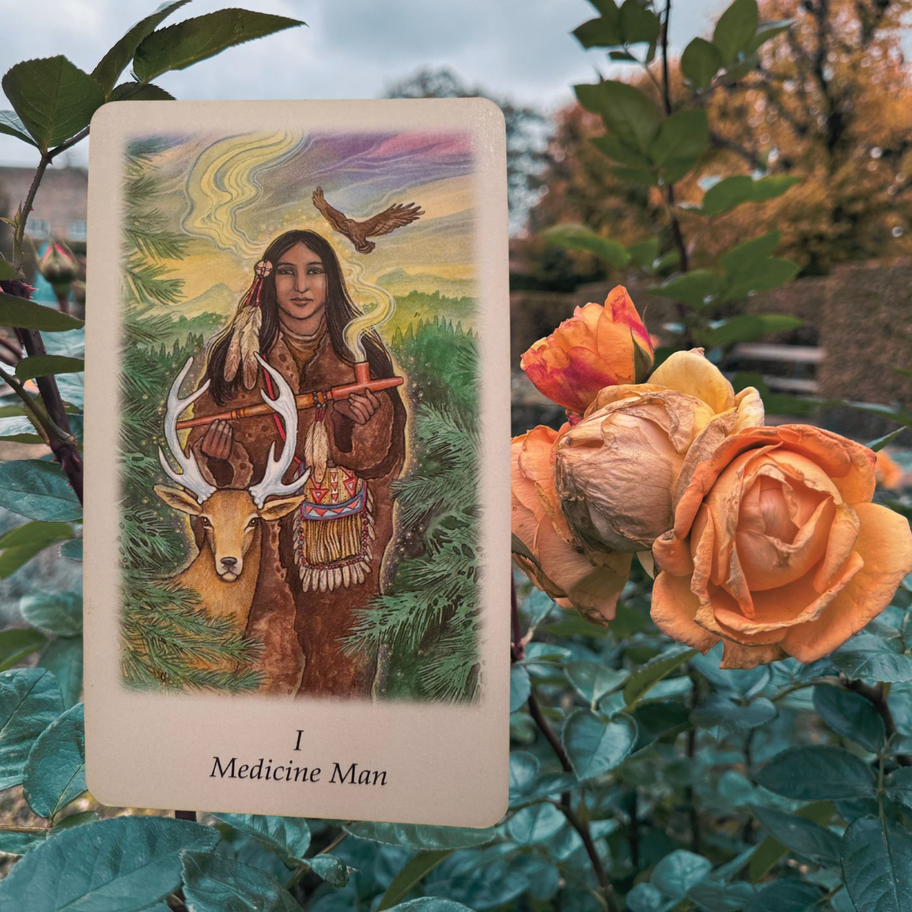 Medicine Man episode artwork