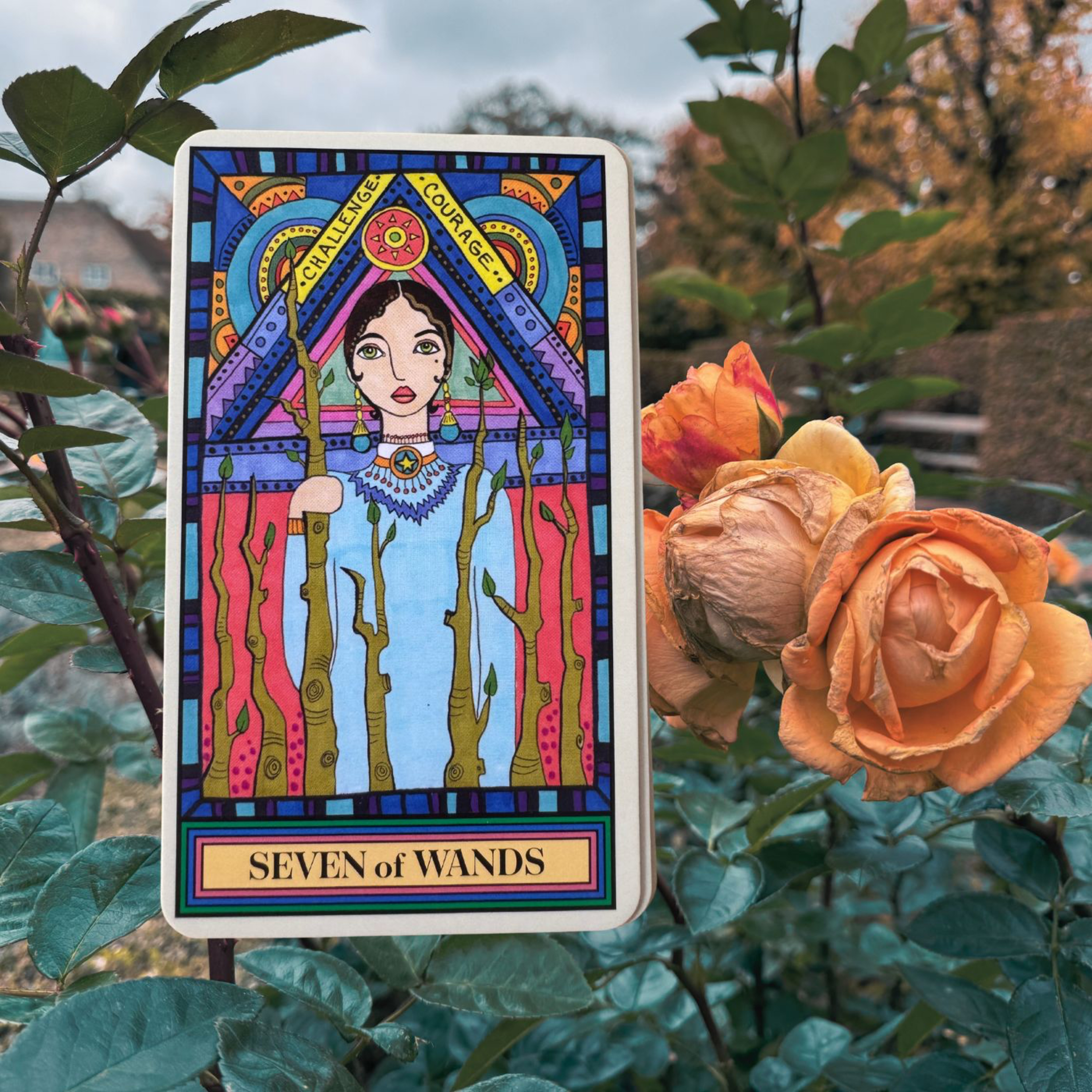 7 of Wands episode artwork