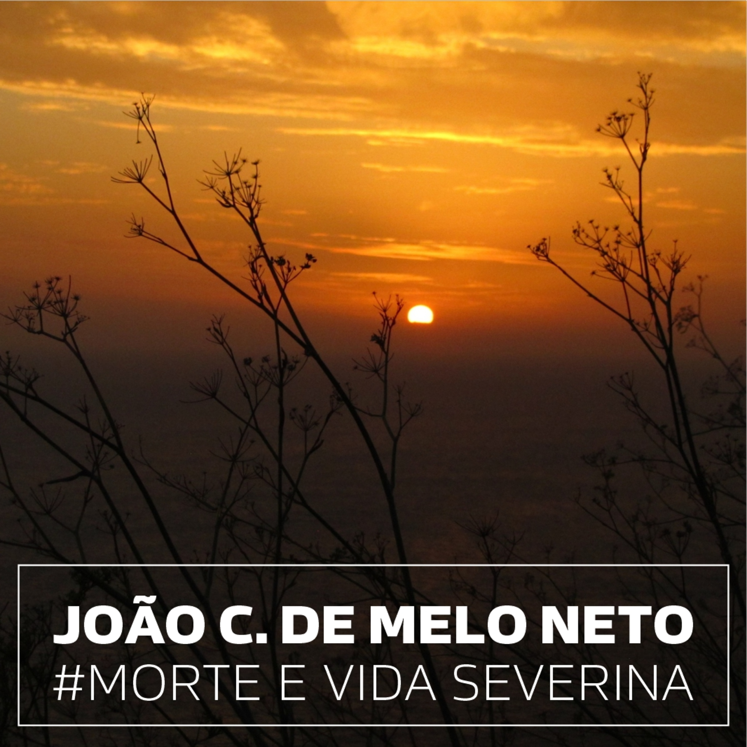 #132 joão cabral de melo neto . morte e vida severina episode artwork