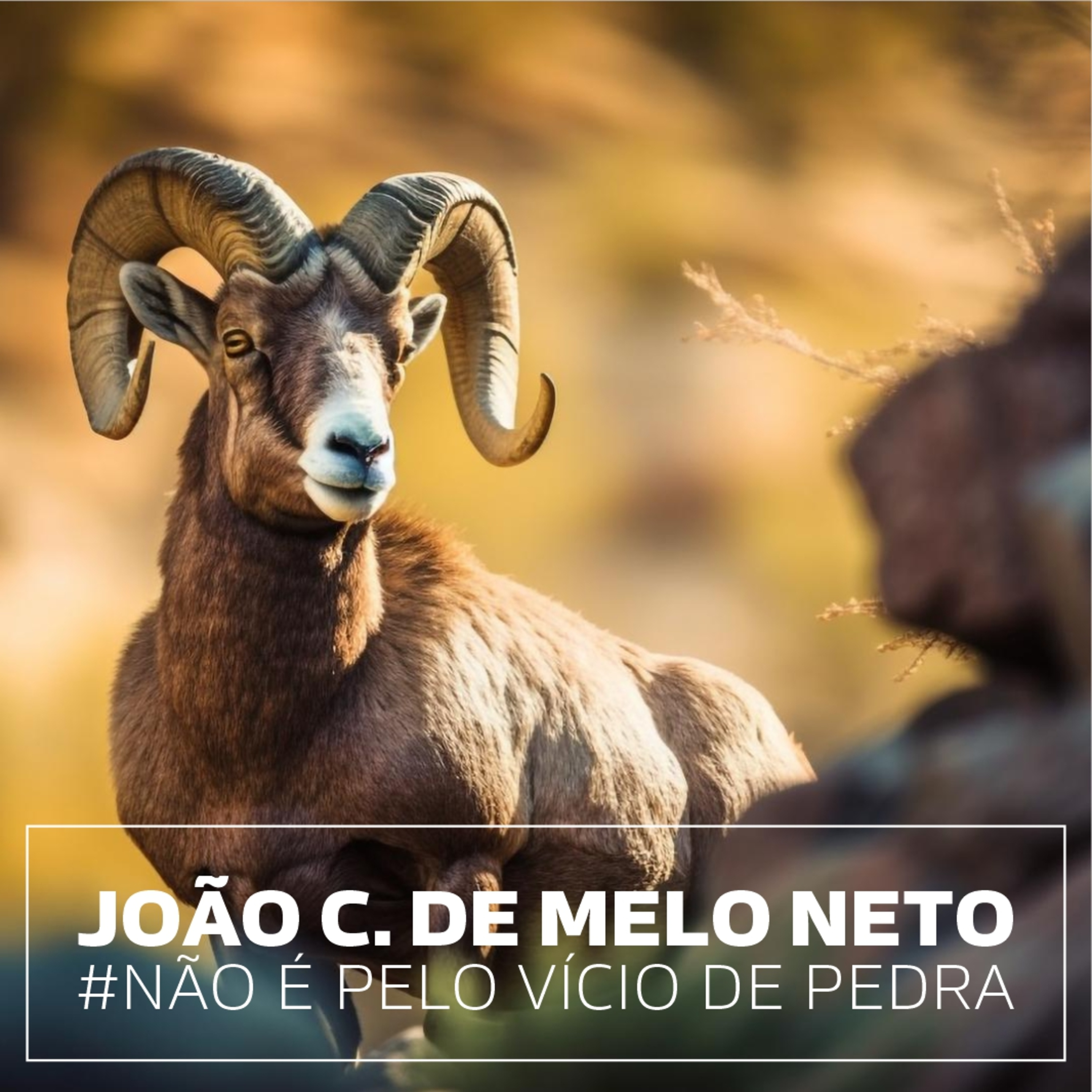 #133 joão cabral de melo neto . não é pelo vício de pedra episode artwork