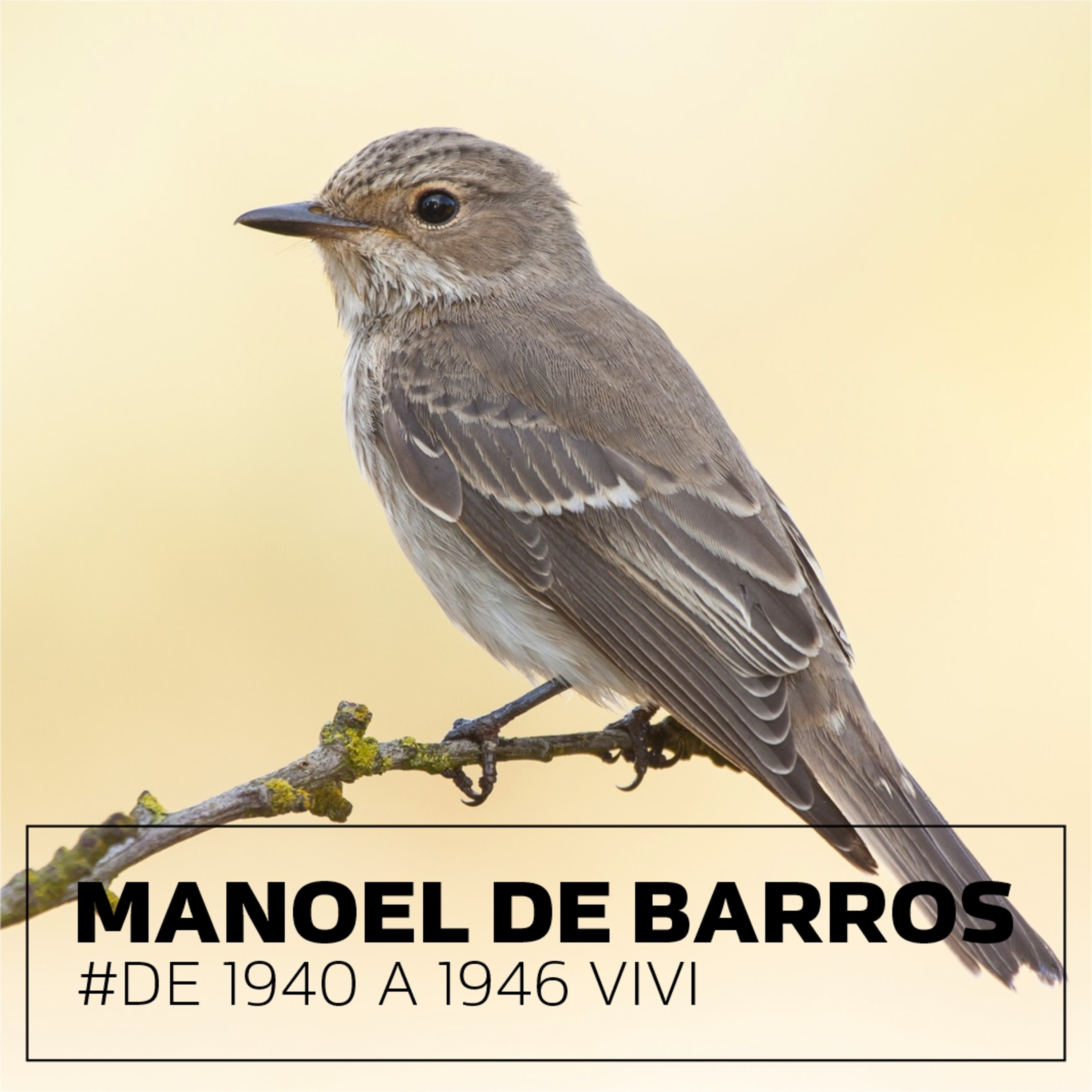 #202 manoel de barros . de 1940 a 1946 vivi