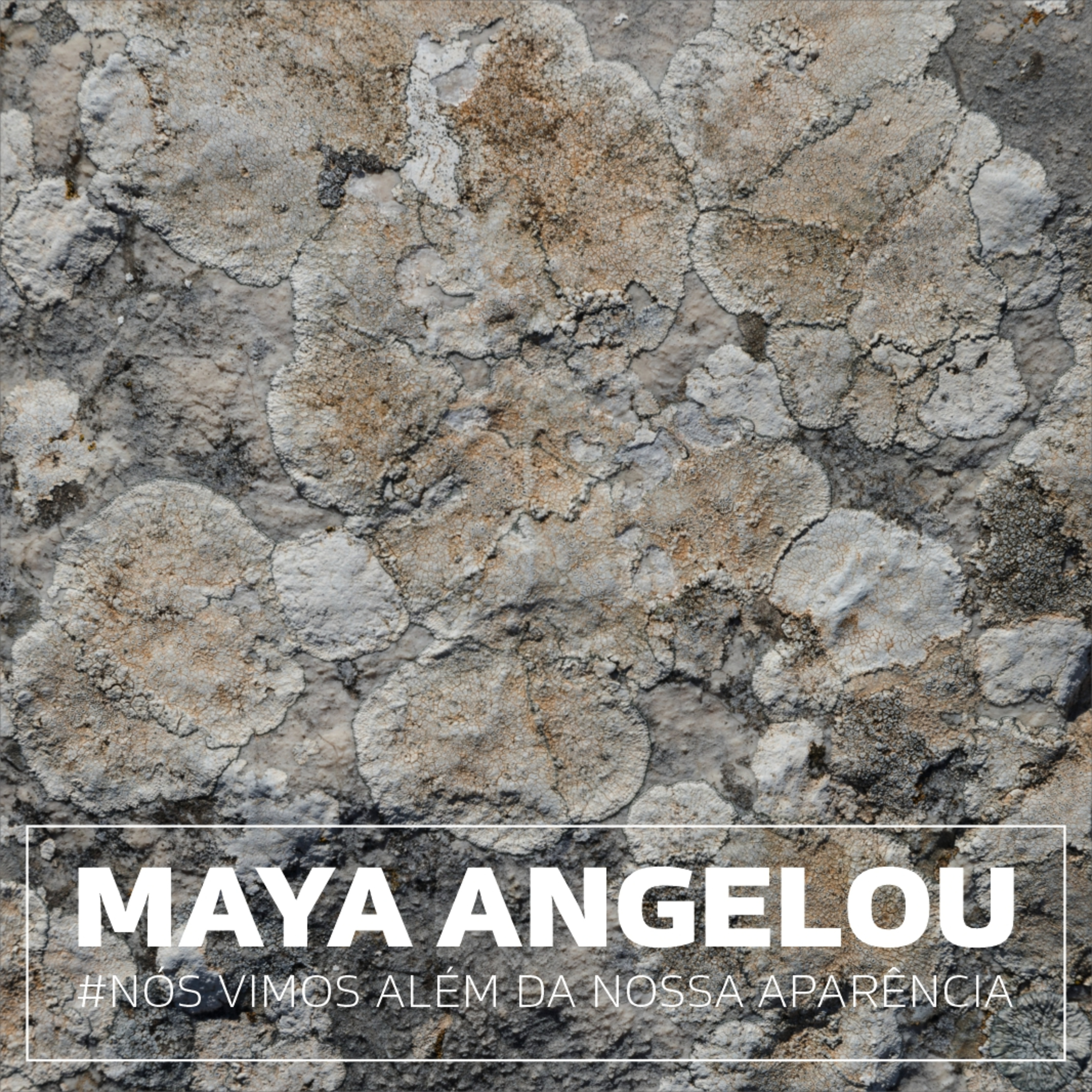 #206 maya angelou . nós vimos além da nossa aparência episode artwork