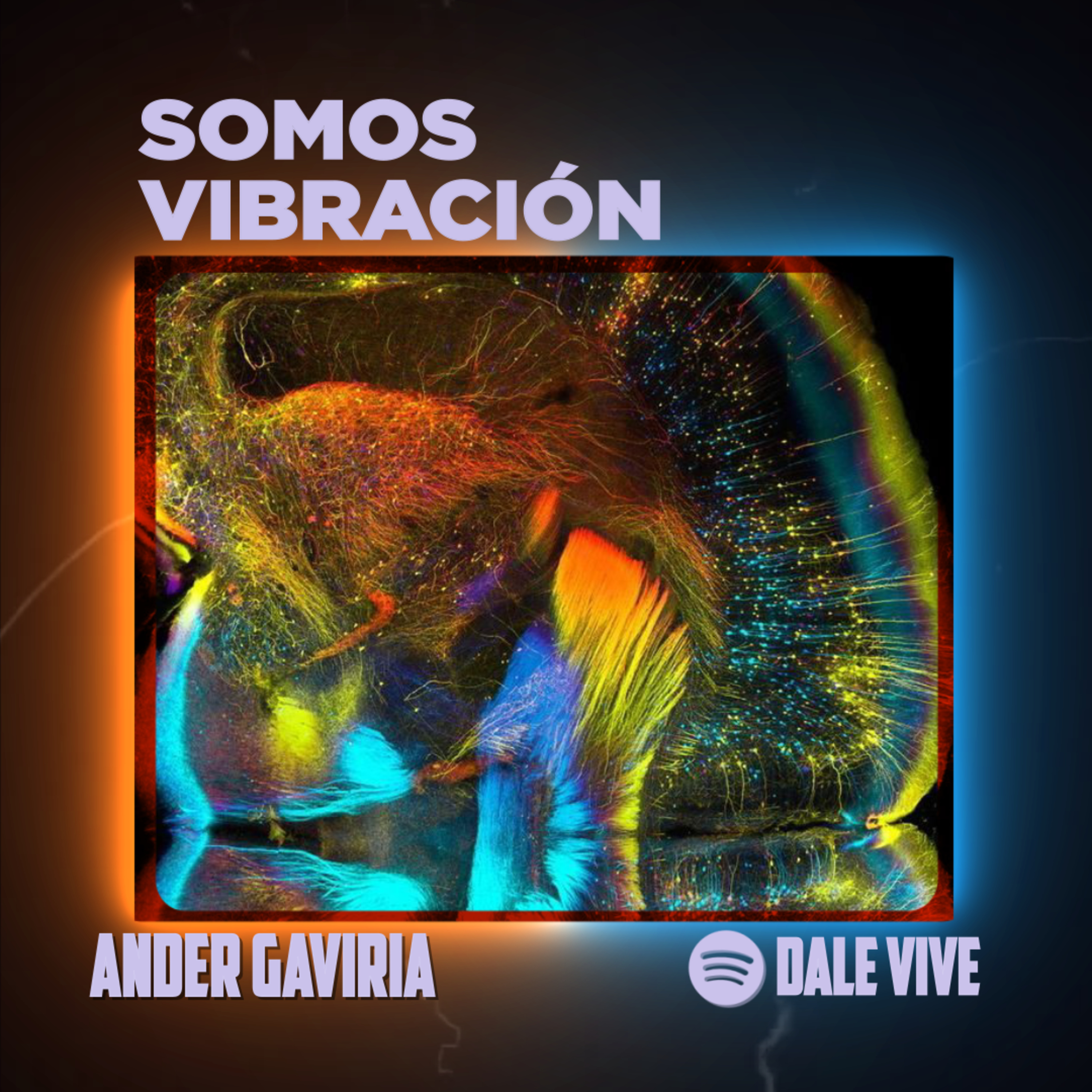 Somos Vibración episode artwork