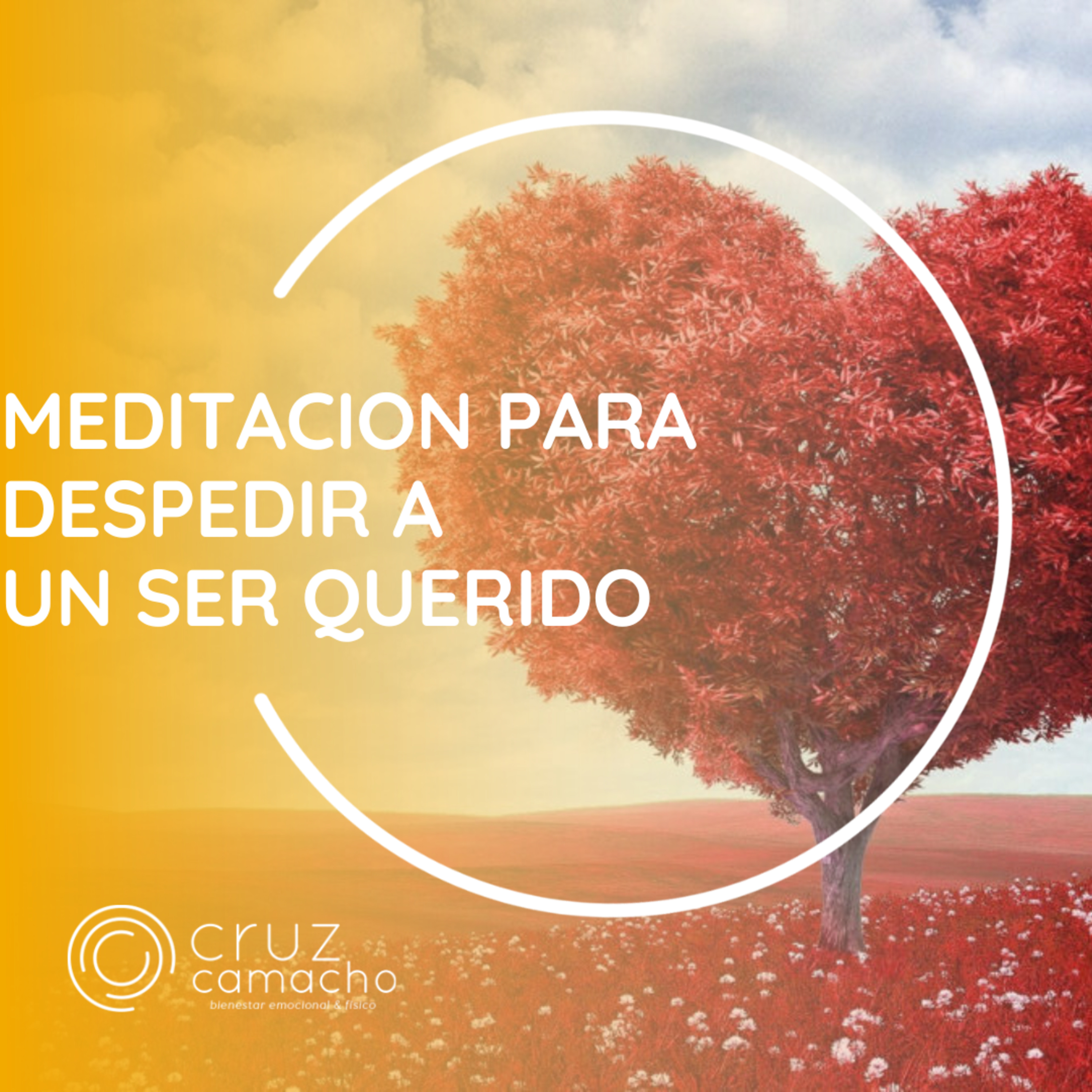 MEDITACIONES GUIADAS, CRUZ CAMACHO