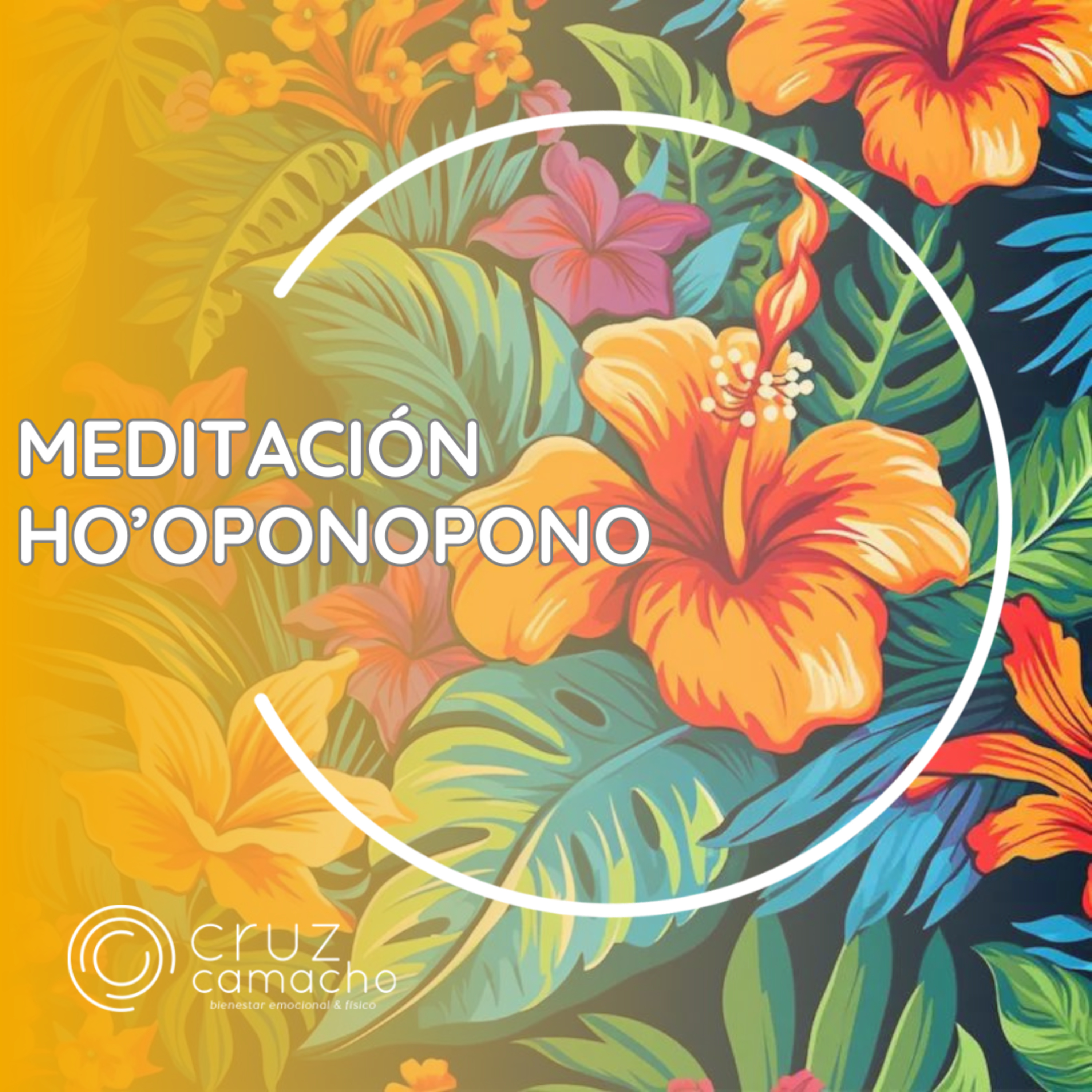 MEDITACIONES GUIADAS, CRUZ CAMACHO