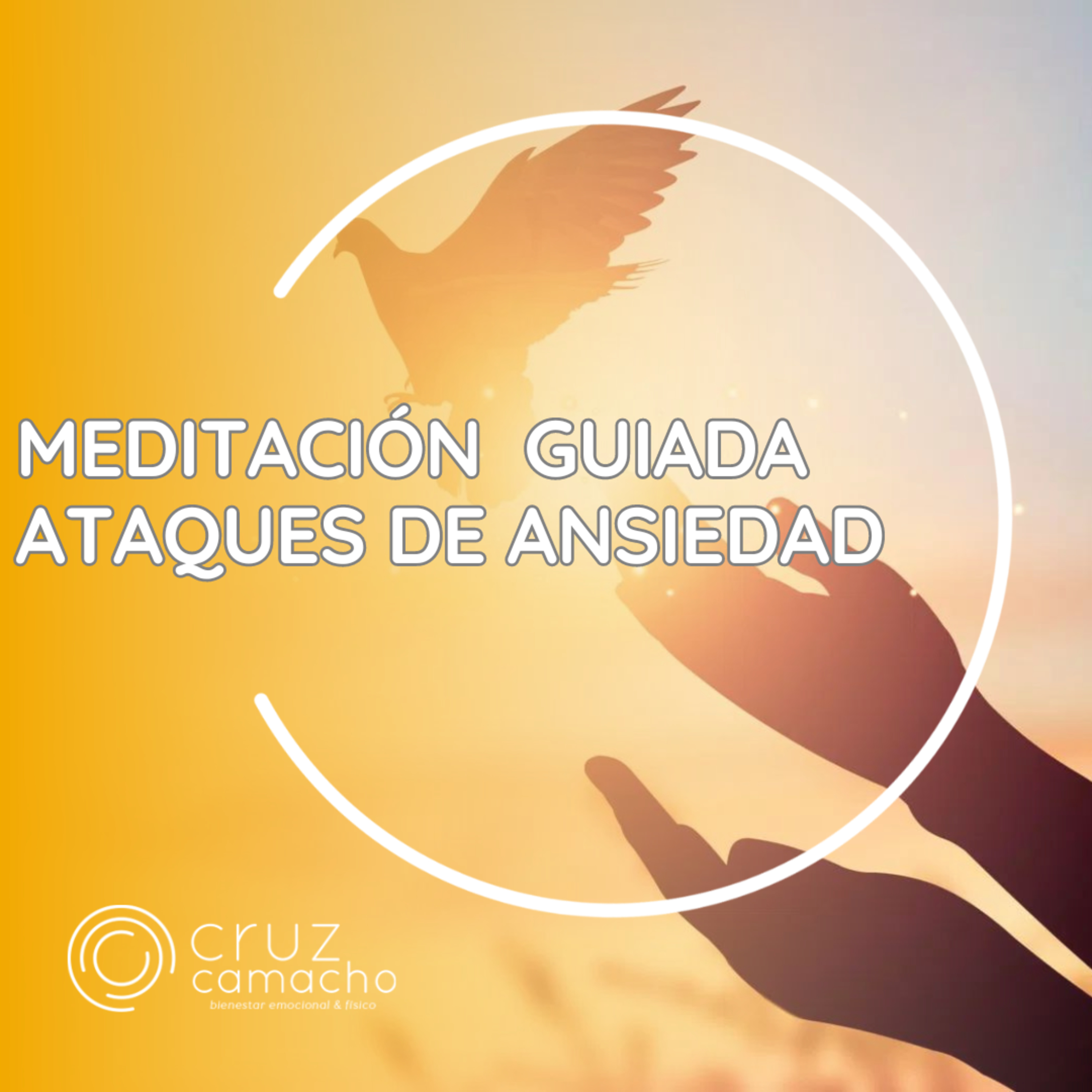 MEDITACIONES GUIADAS, CRUZ CAMACHO