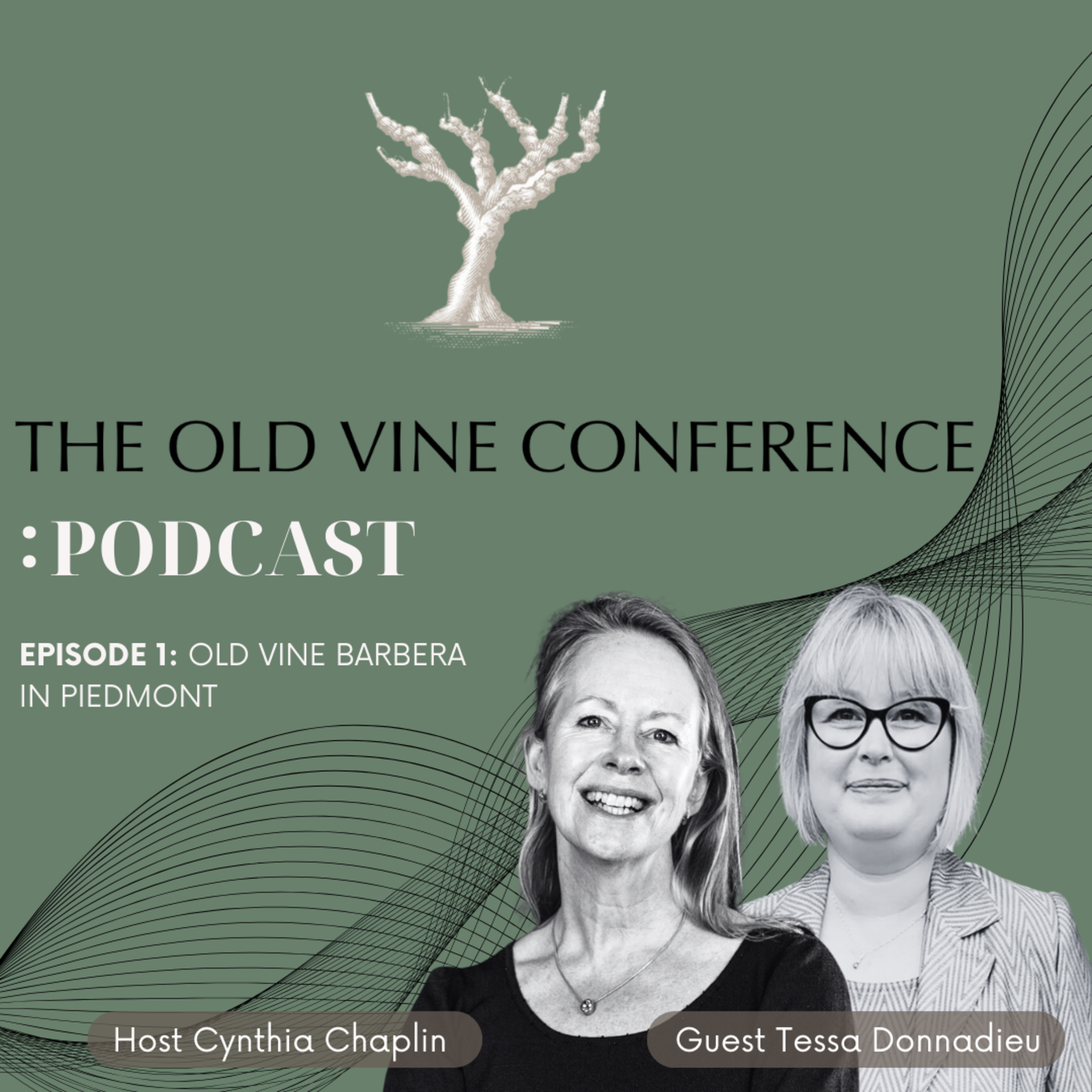 Ep. 1 Old Vine Barbera in Piedmont - The Old Vine Conference Podcast episode artwork