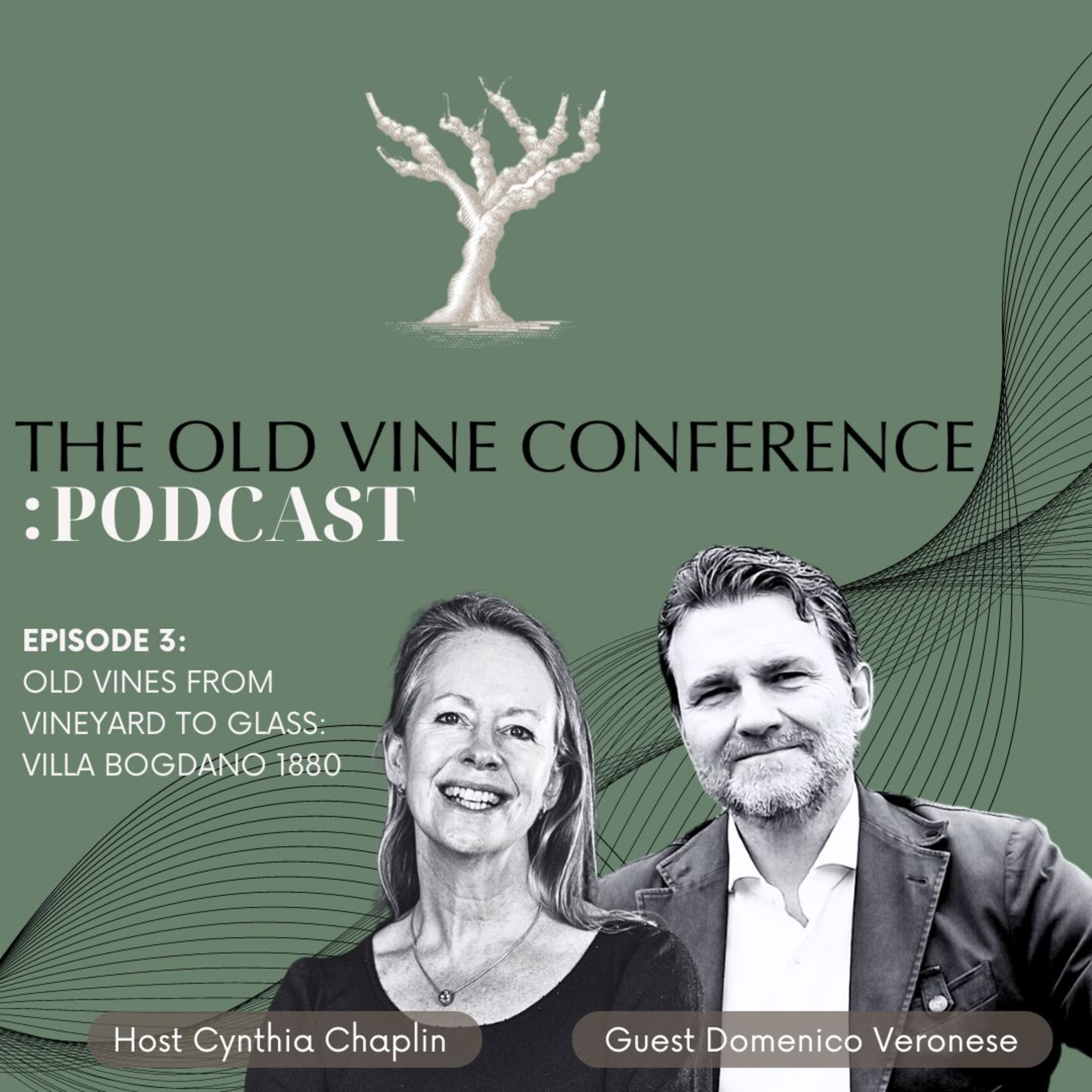 Ep. 3 Old vines from vineyard to glass: Villa Bogdano 1880 - The Old Vine Conference Podcast episode artwork
